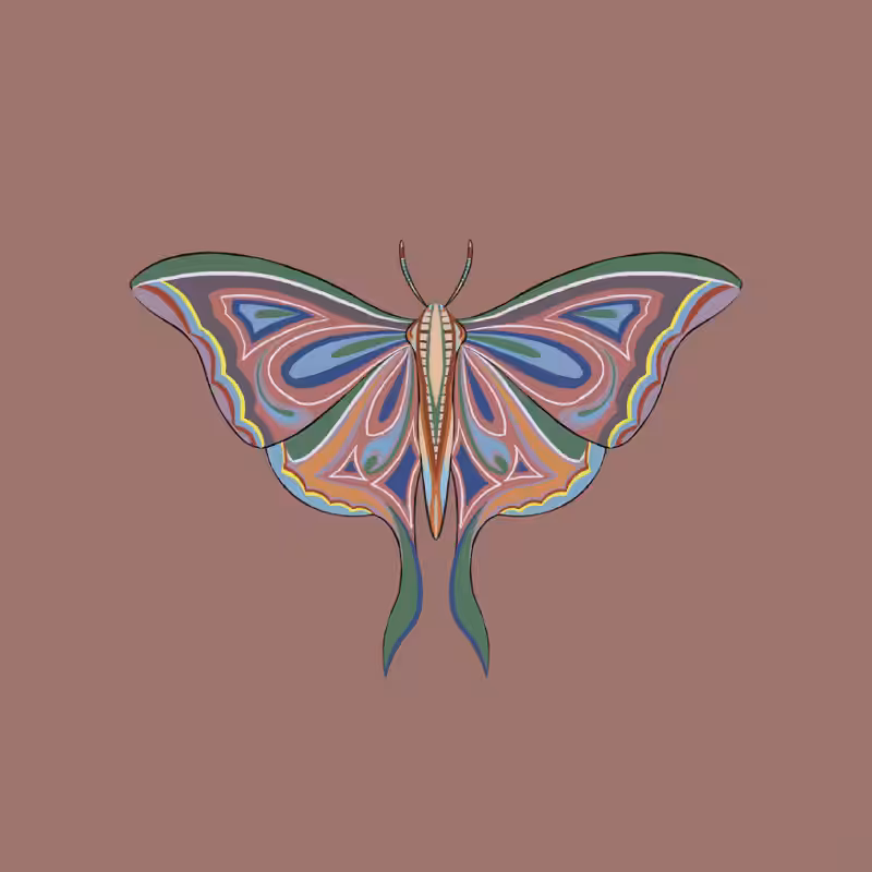 The Moth Experiment 2.0 P2 #25