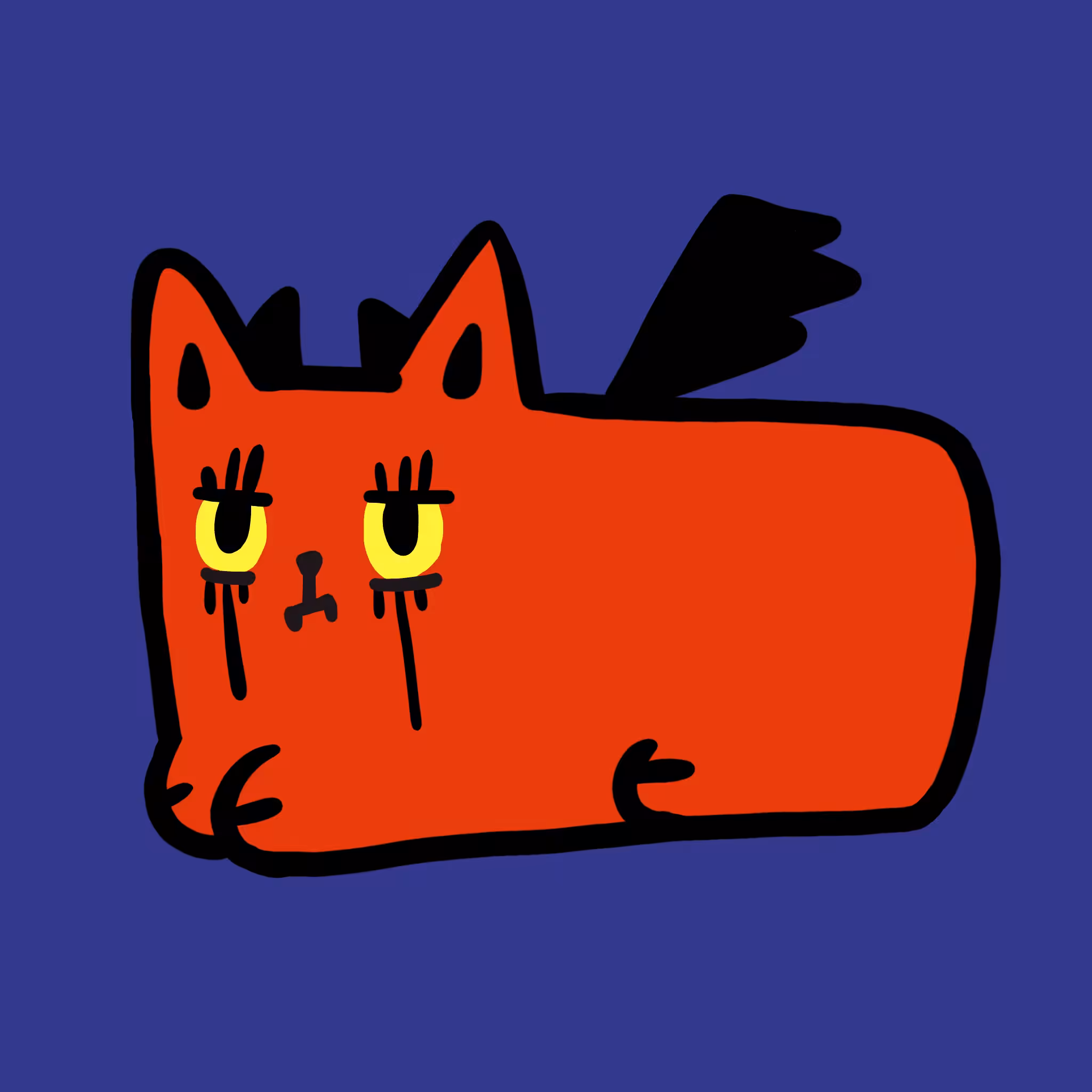 Sunny cat 29
