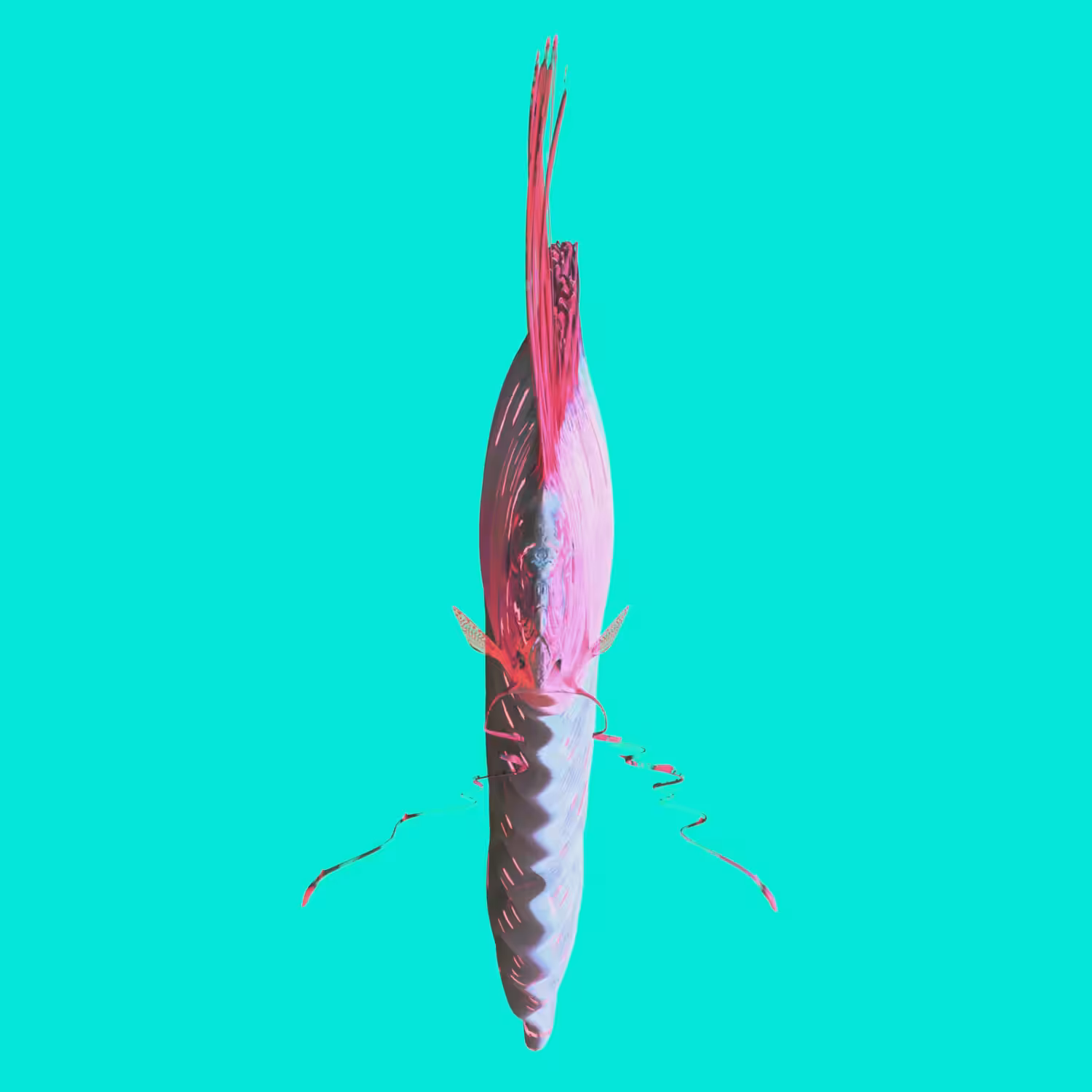 O A R T H O G R A P H I C #01