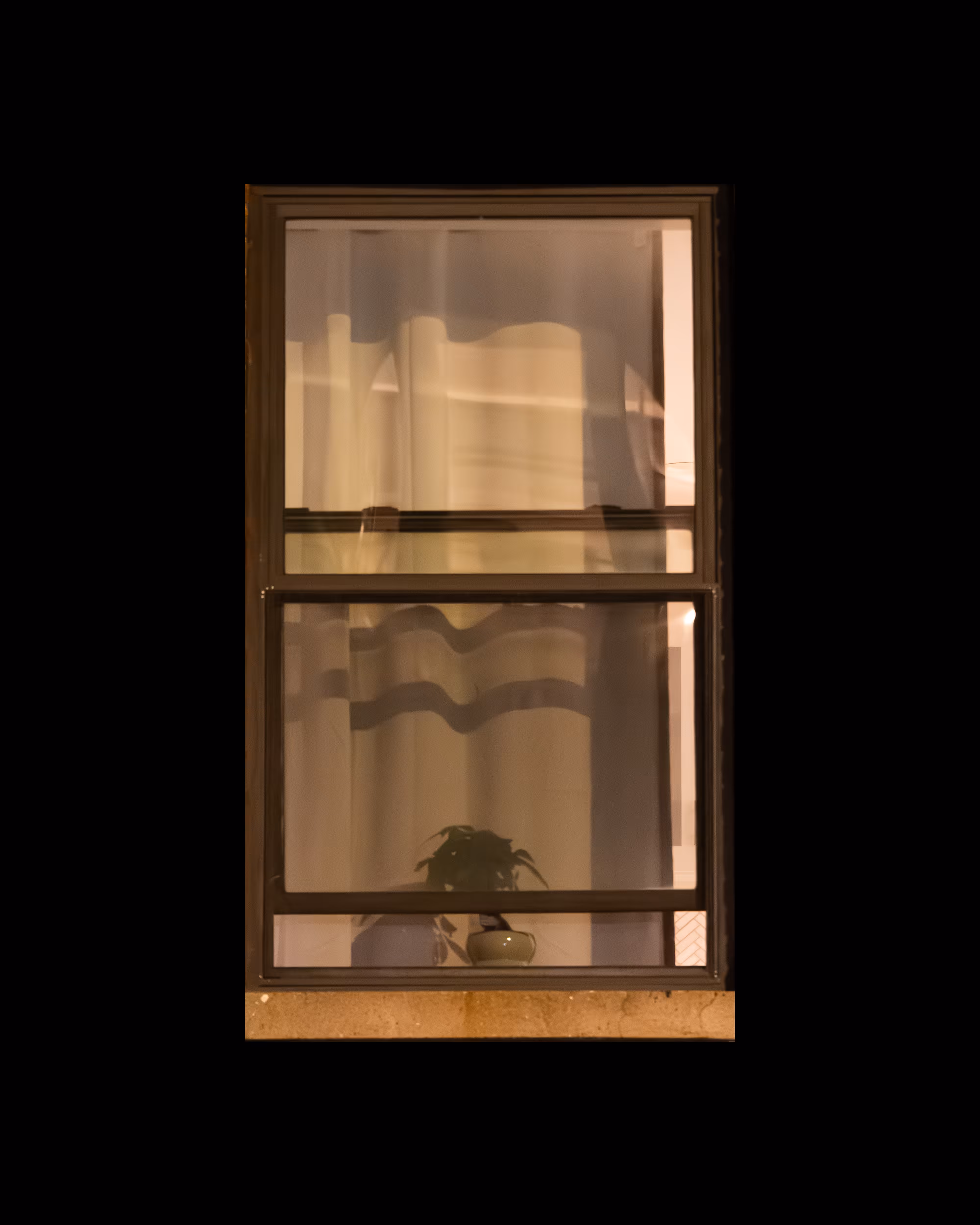 WINDOW 419