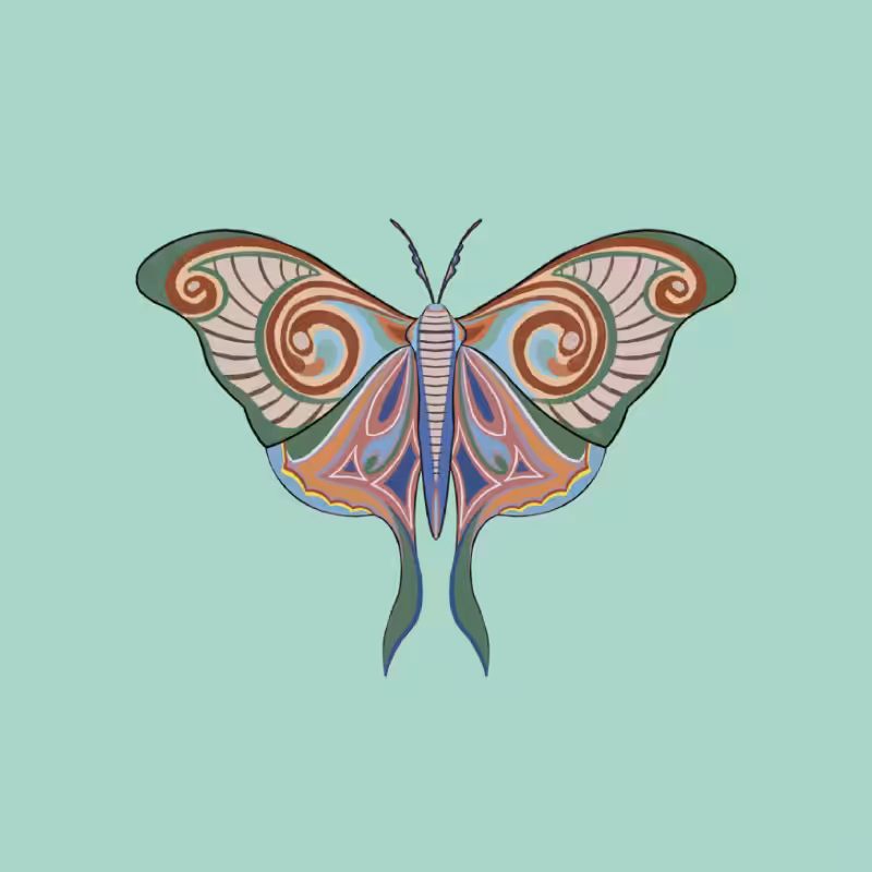 The Moth Experiment 2.0 P1 #1