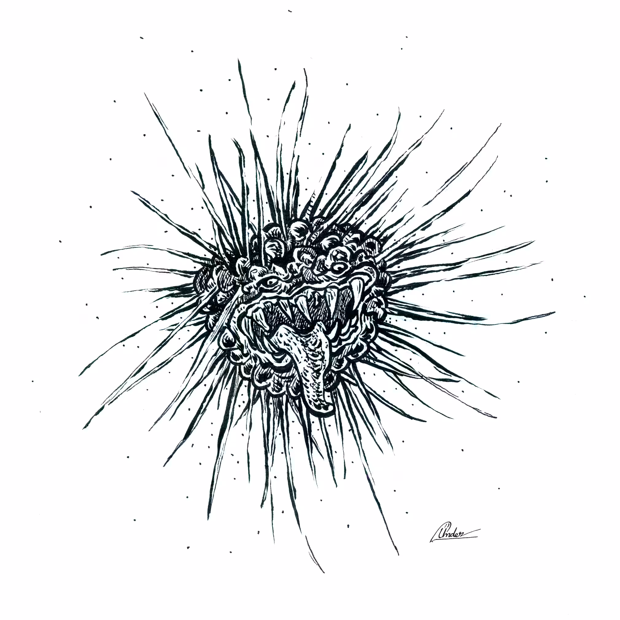 heliozoa