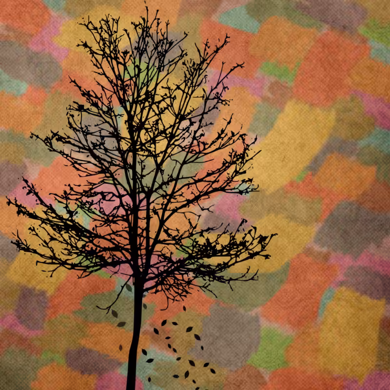 Autumn #5