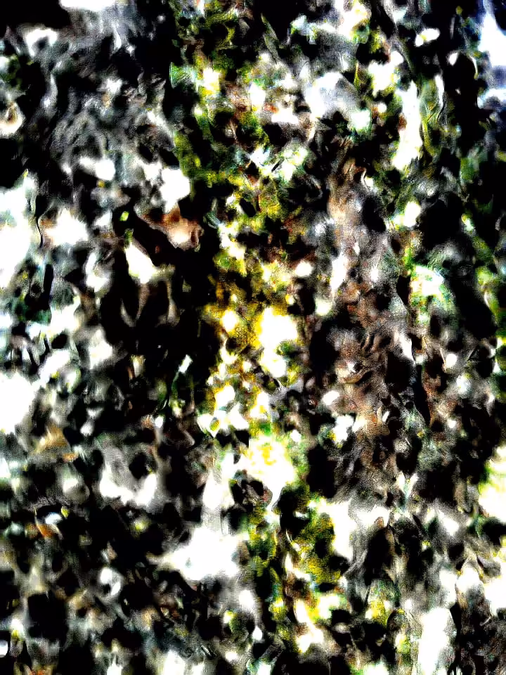 Enlichened