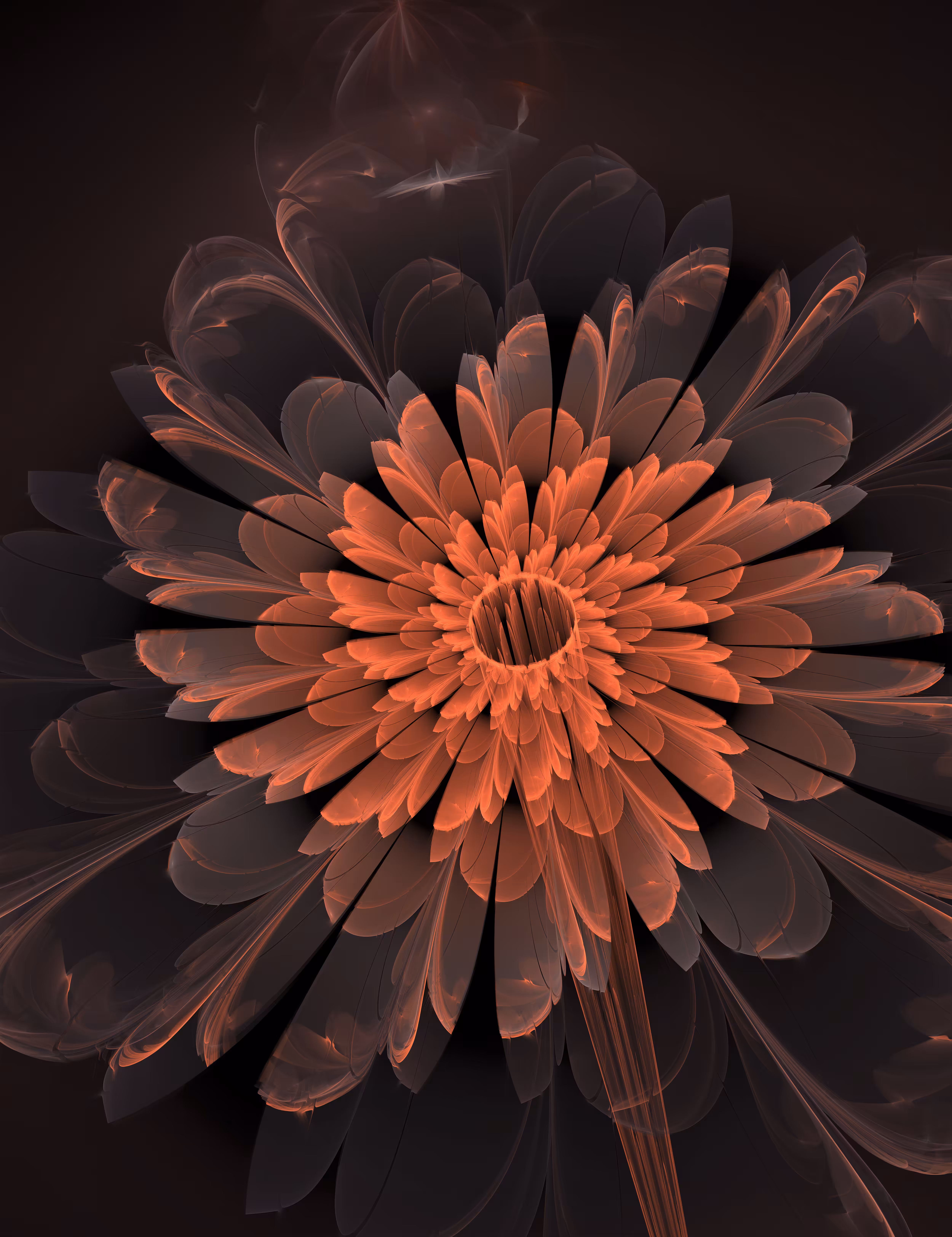 Fractal Flower (1 of 4)
