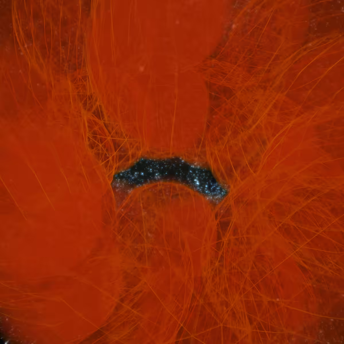 Cosmic Bloom #840