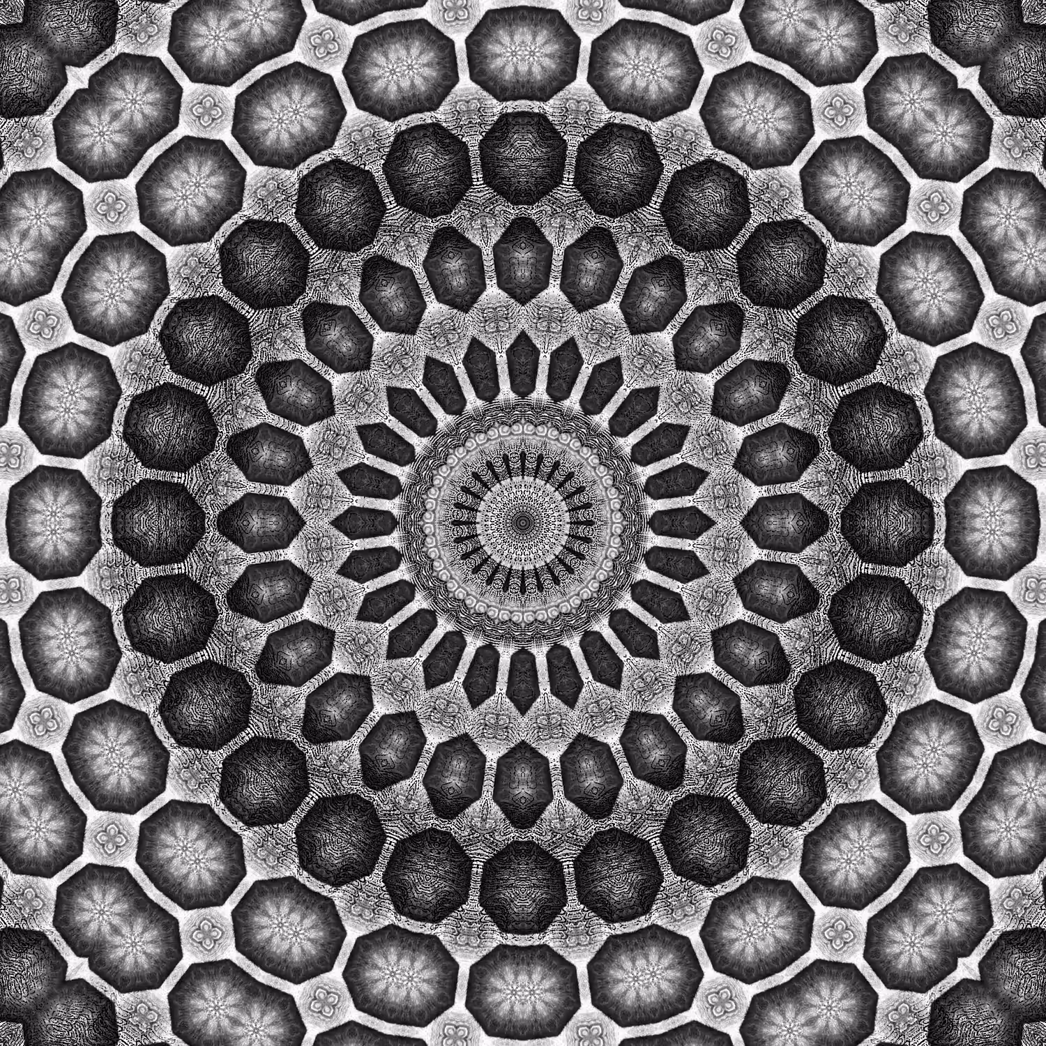 infinite orbital 41