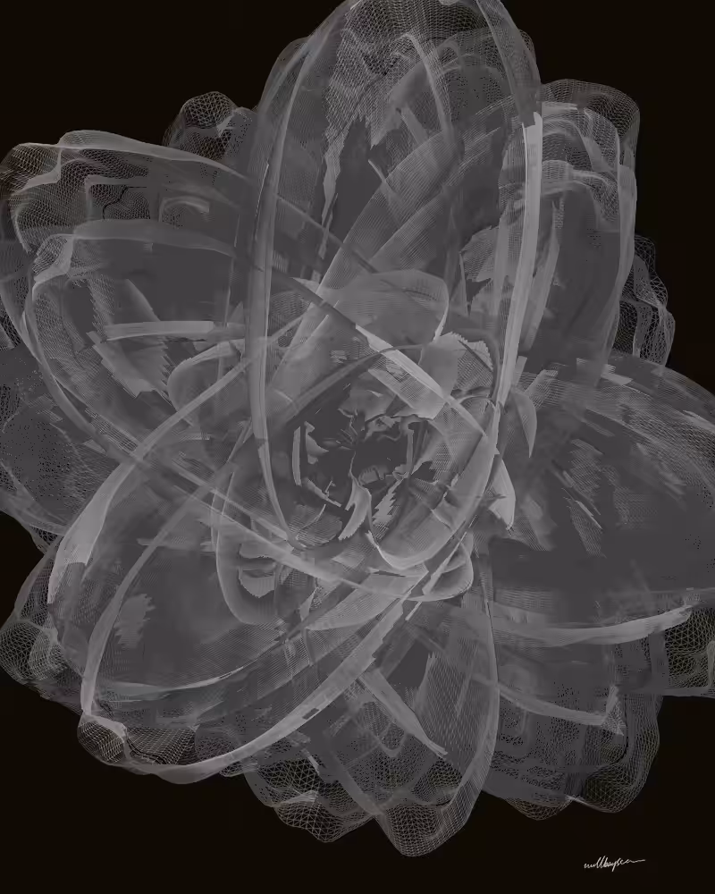 InBloom #127
