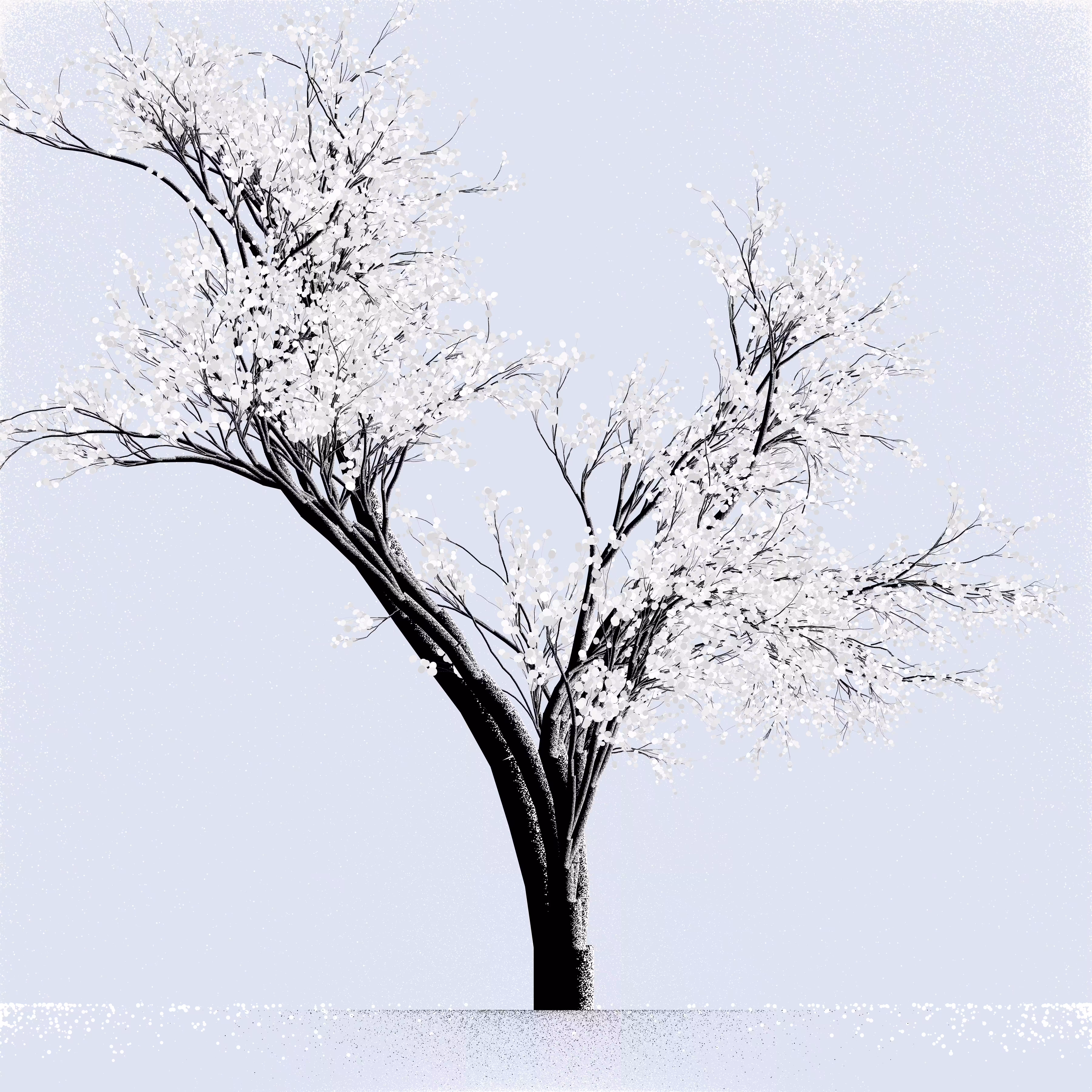 Snow Tree #26