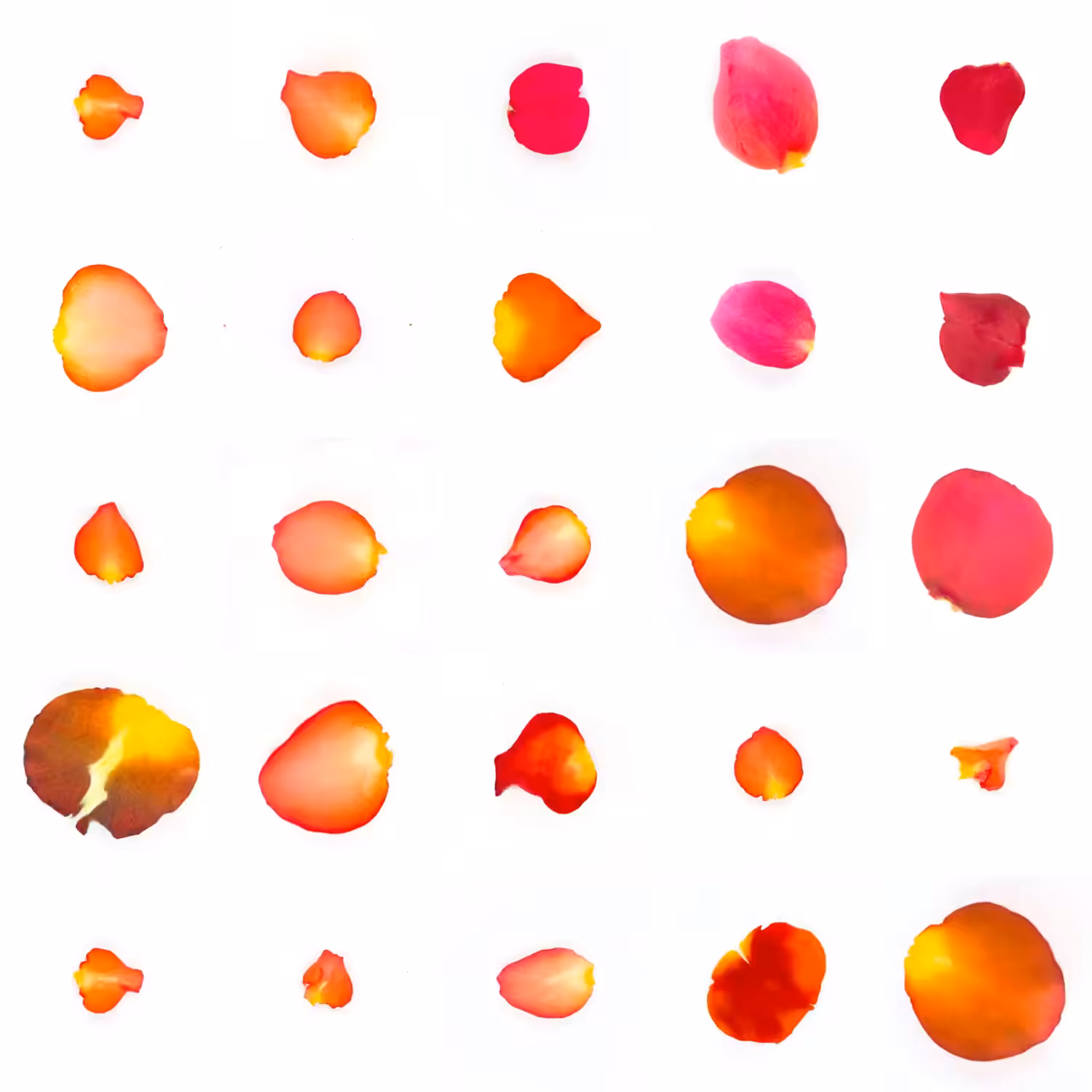 Infinite Petals 5x5#20494