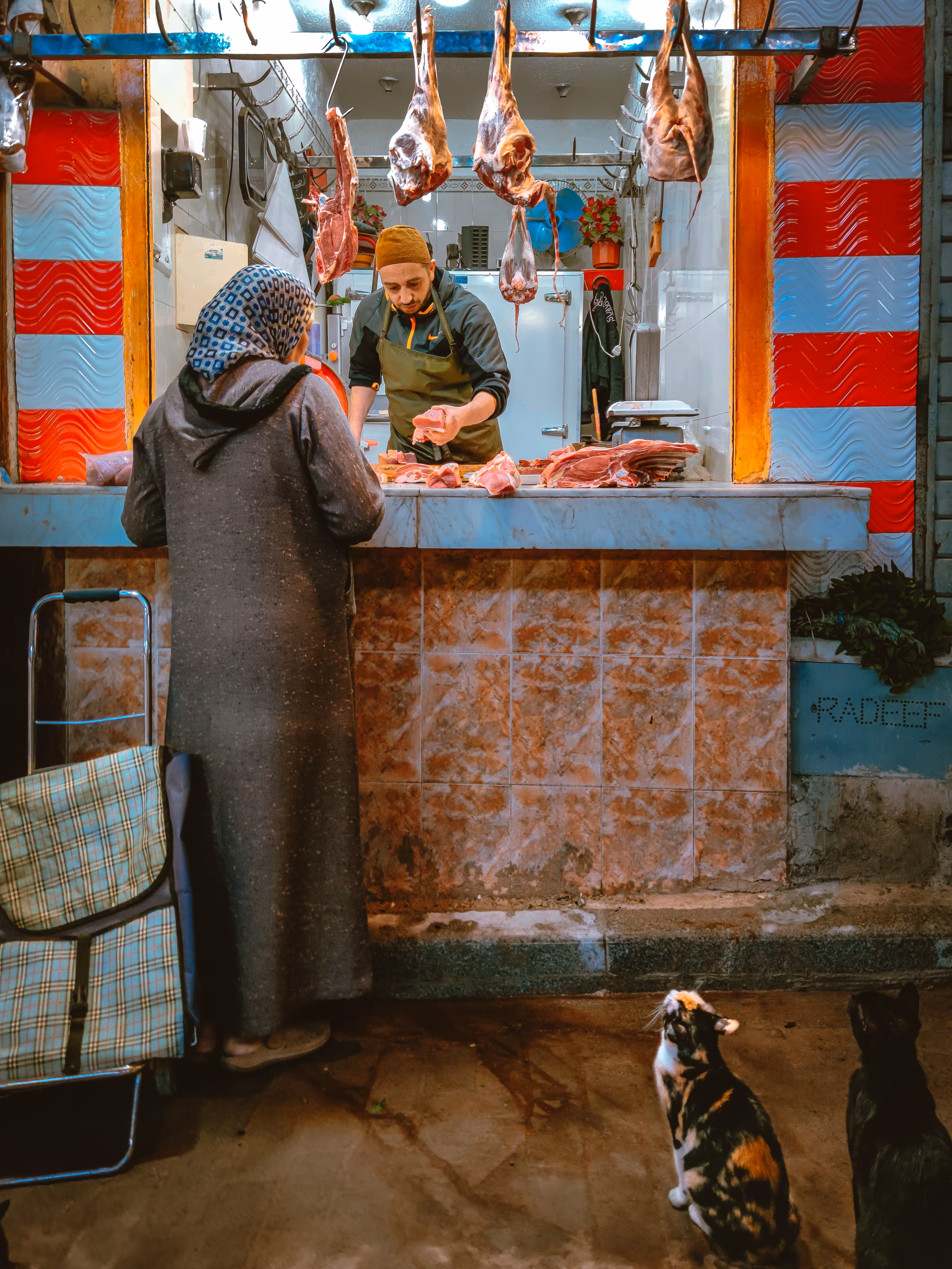 Morocco dreams (Collection #: 4 of 10)