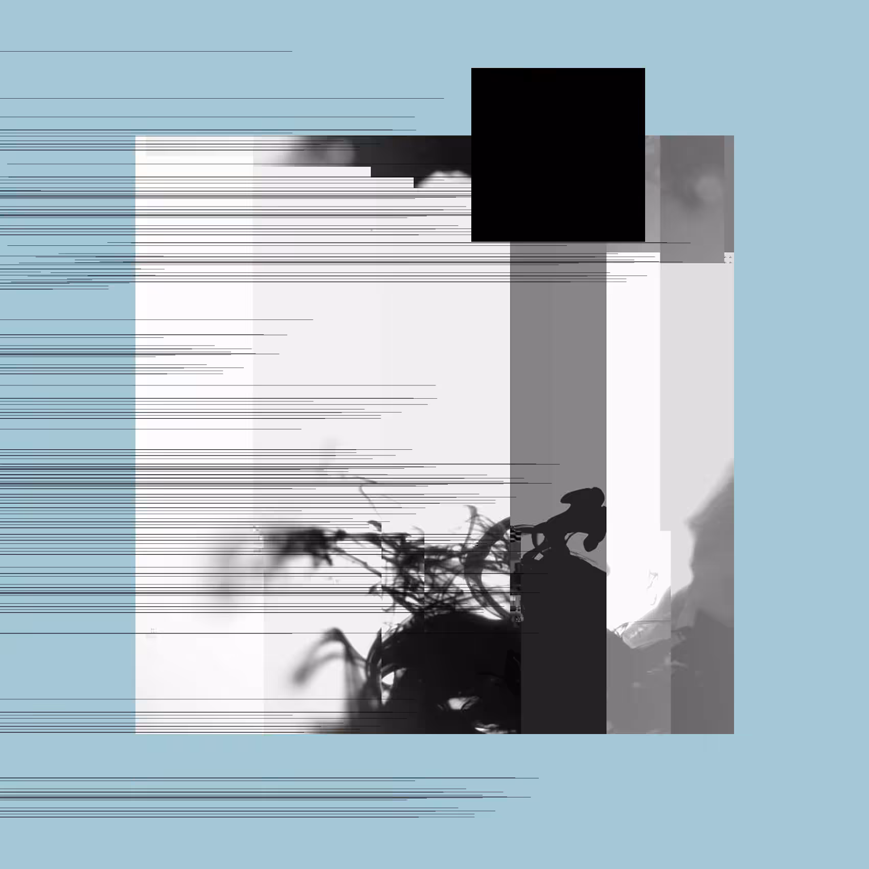 Motions #15
