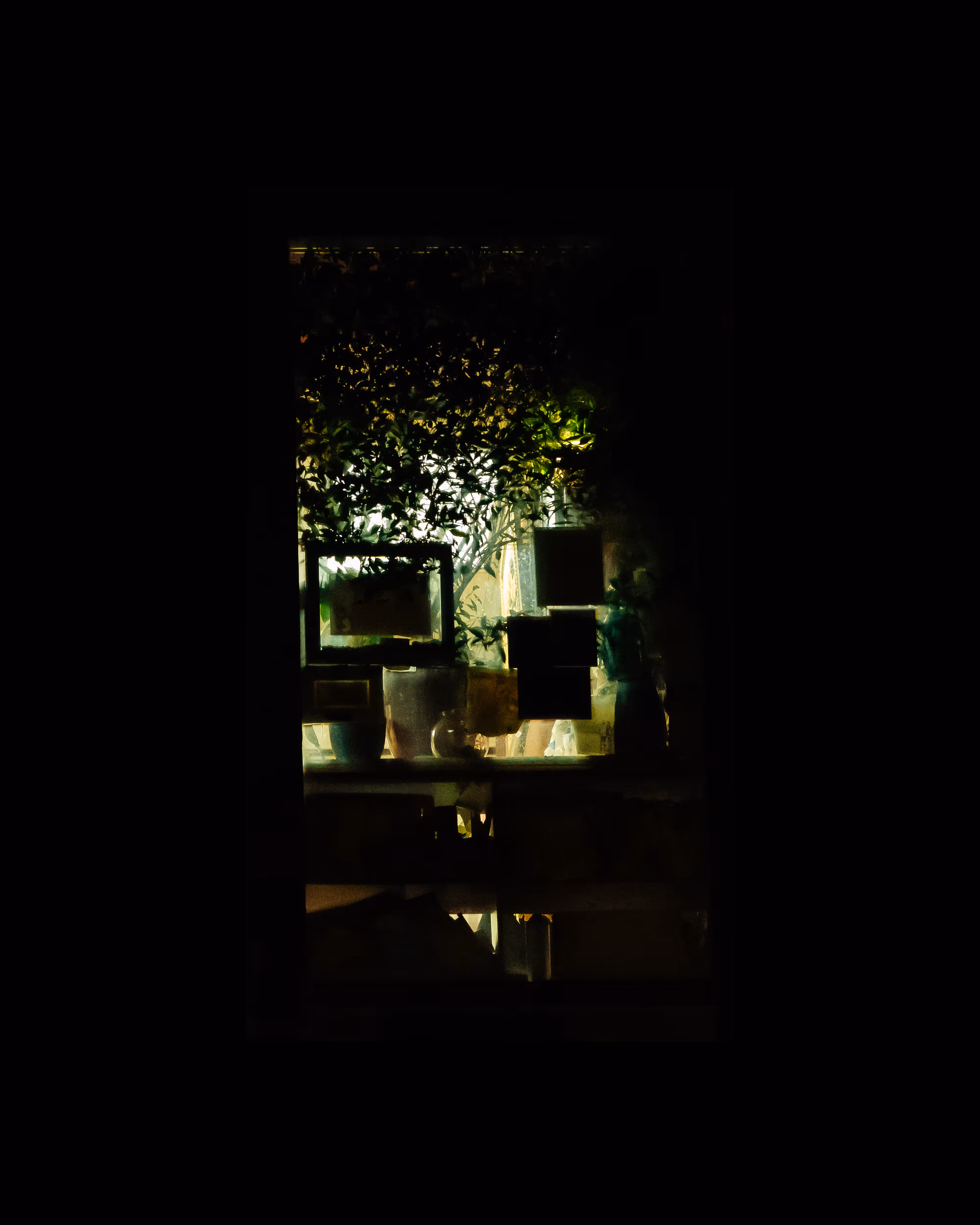 WINDOW 488