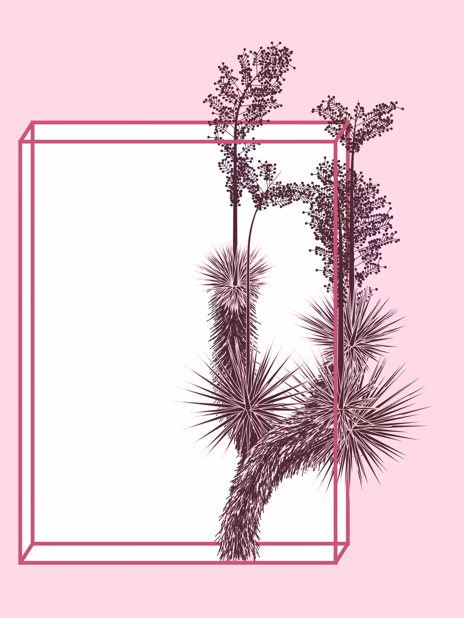 Marfa Yucca #344