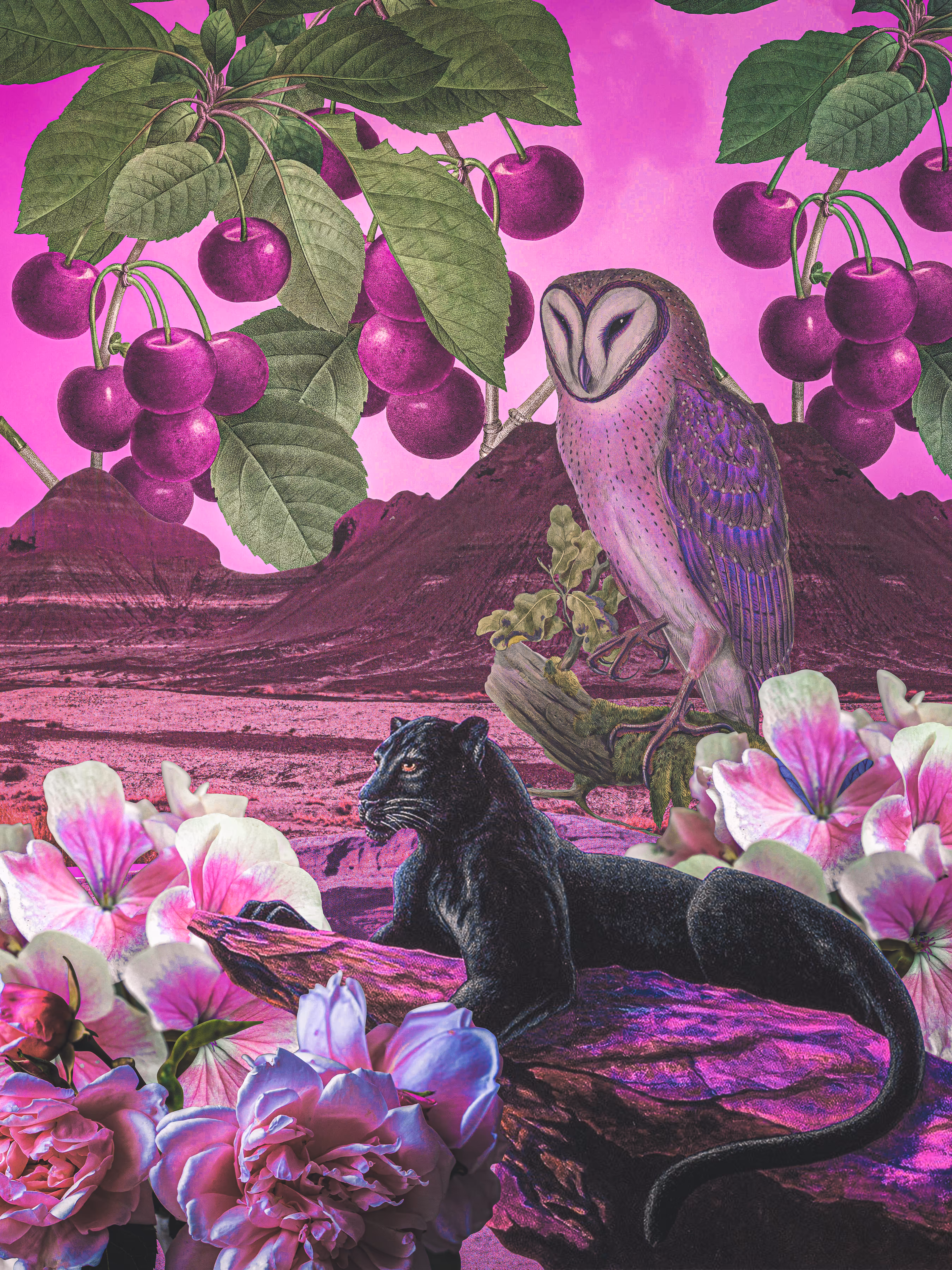 Pink Sabbath
