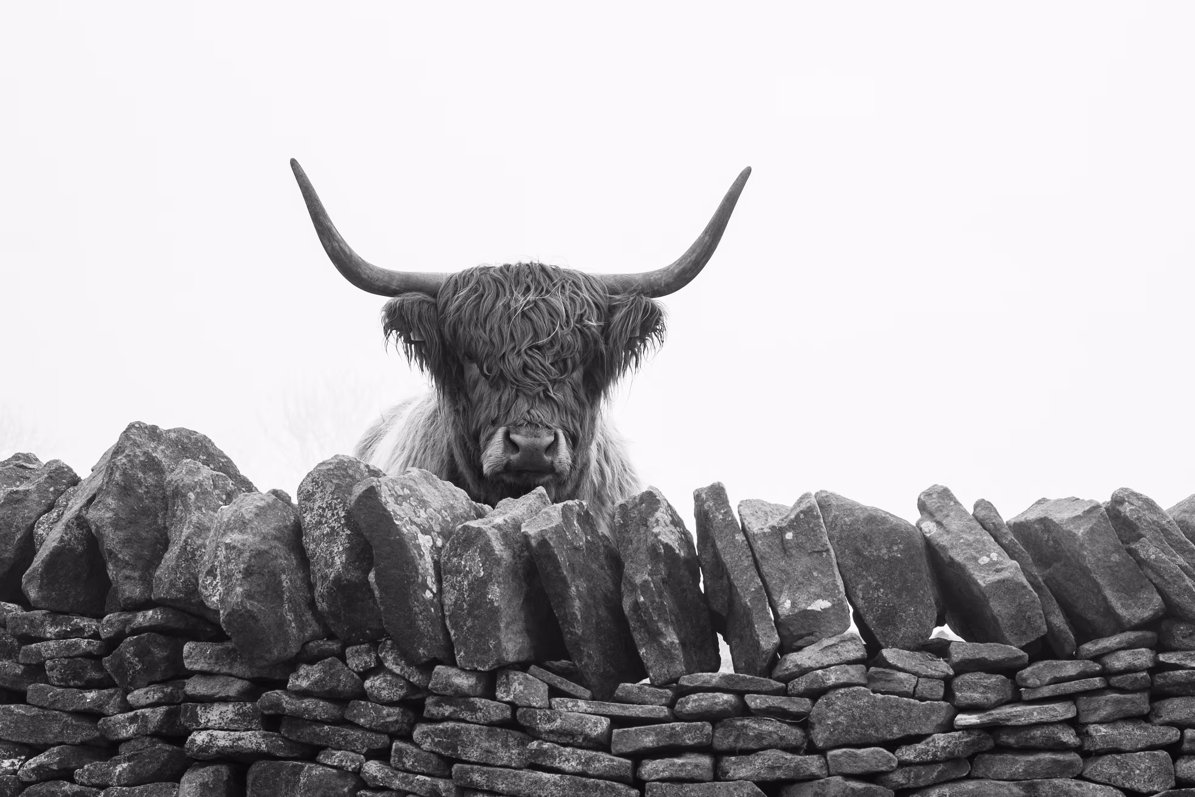 Heres looking at coo 