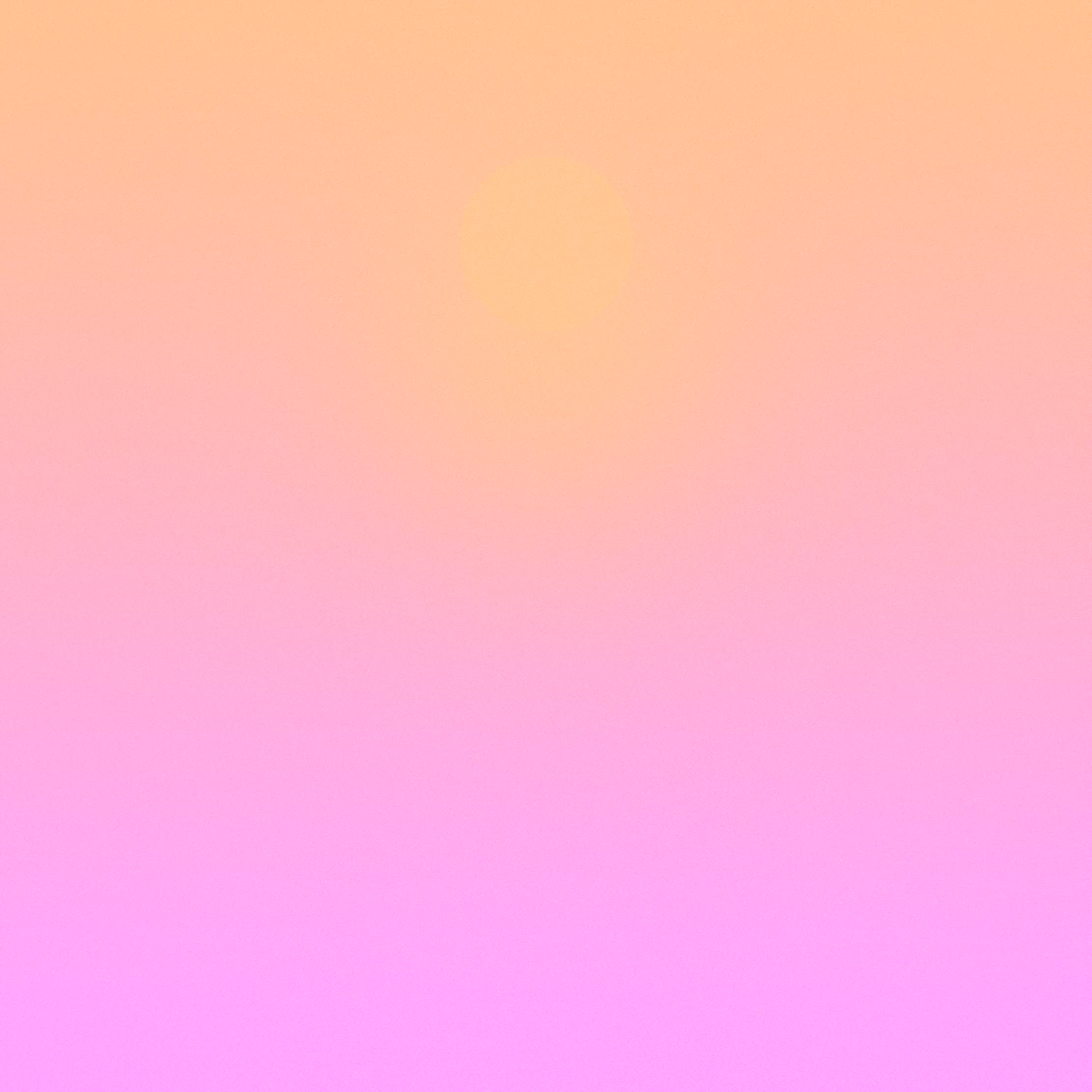 with the light 87