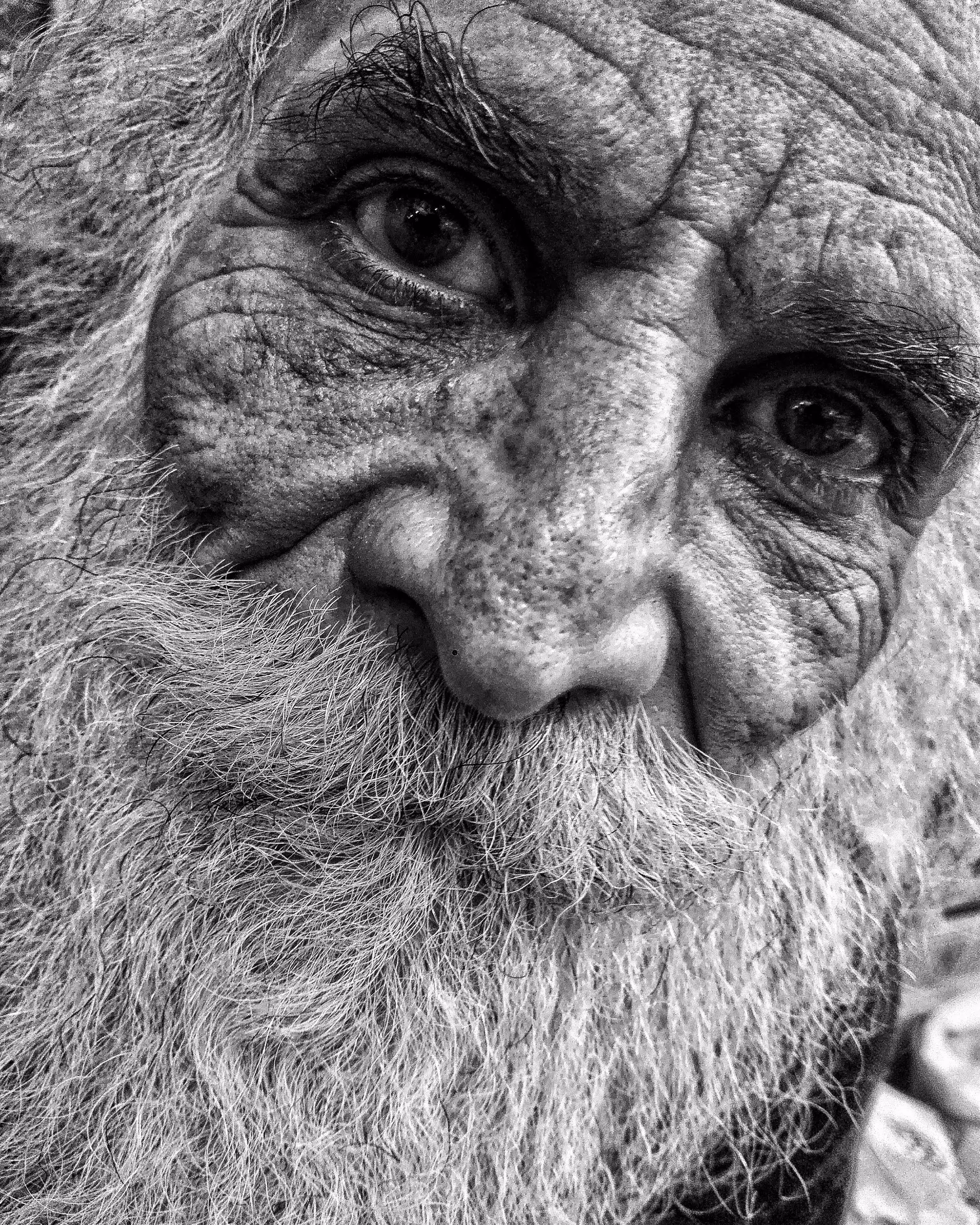 old man
