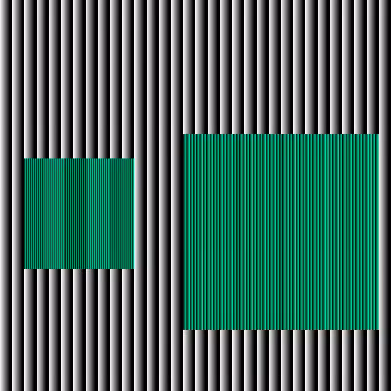 Smooth-brained #310