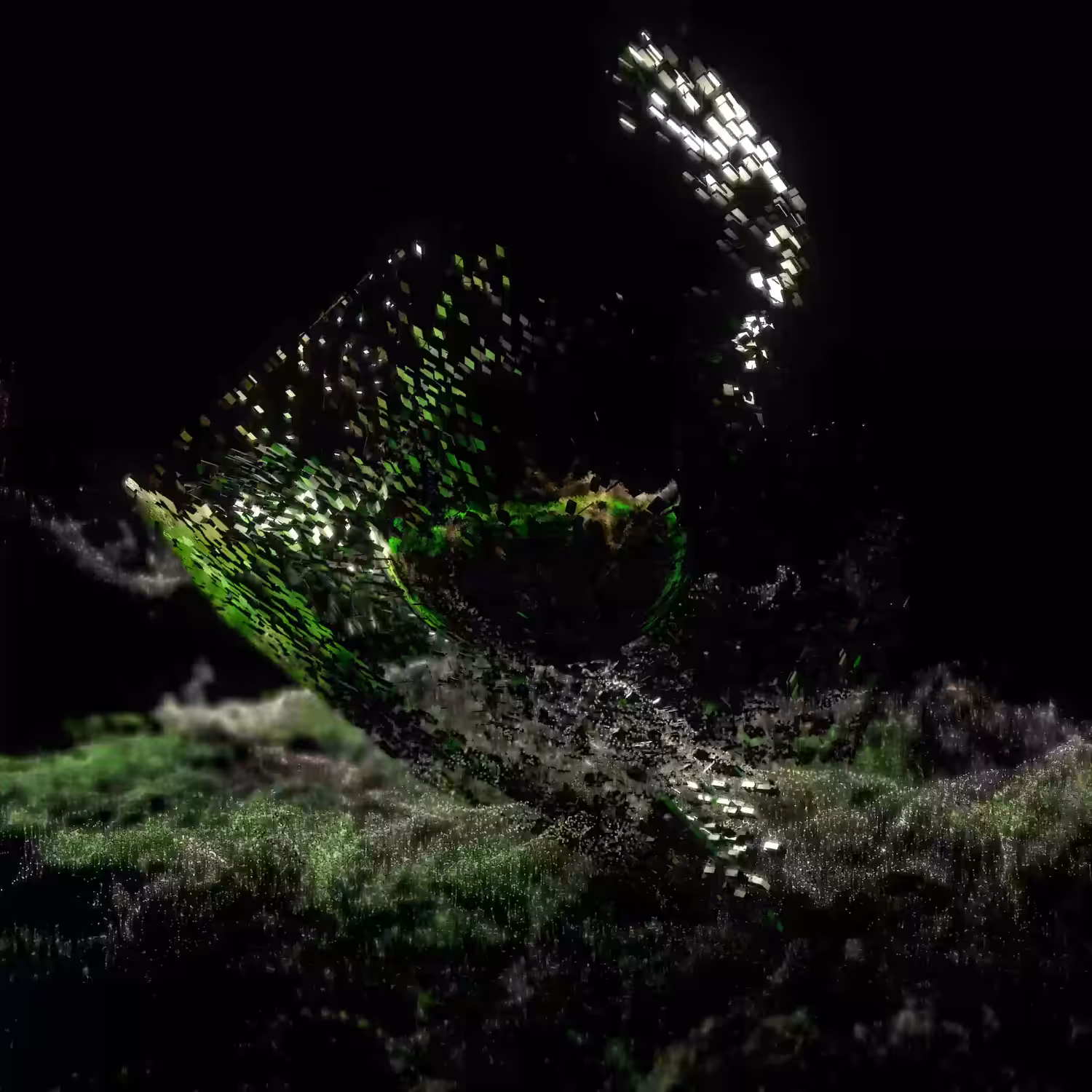 Detritus #08