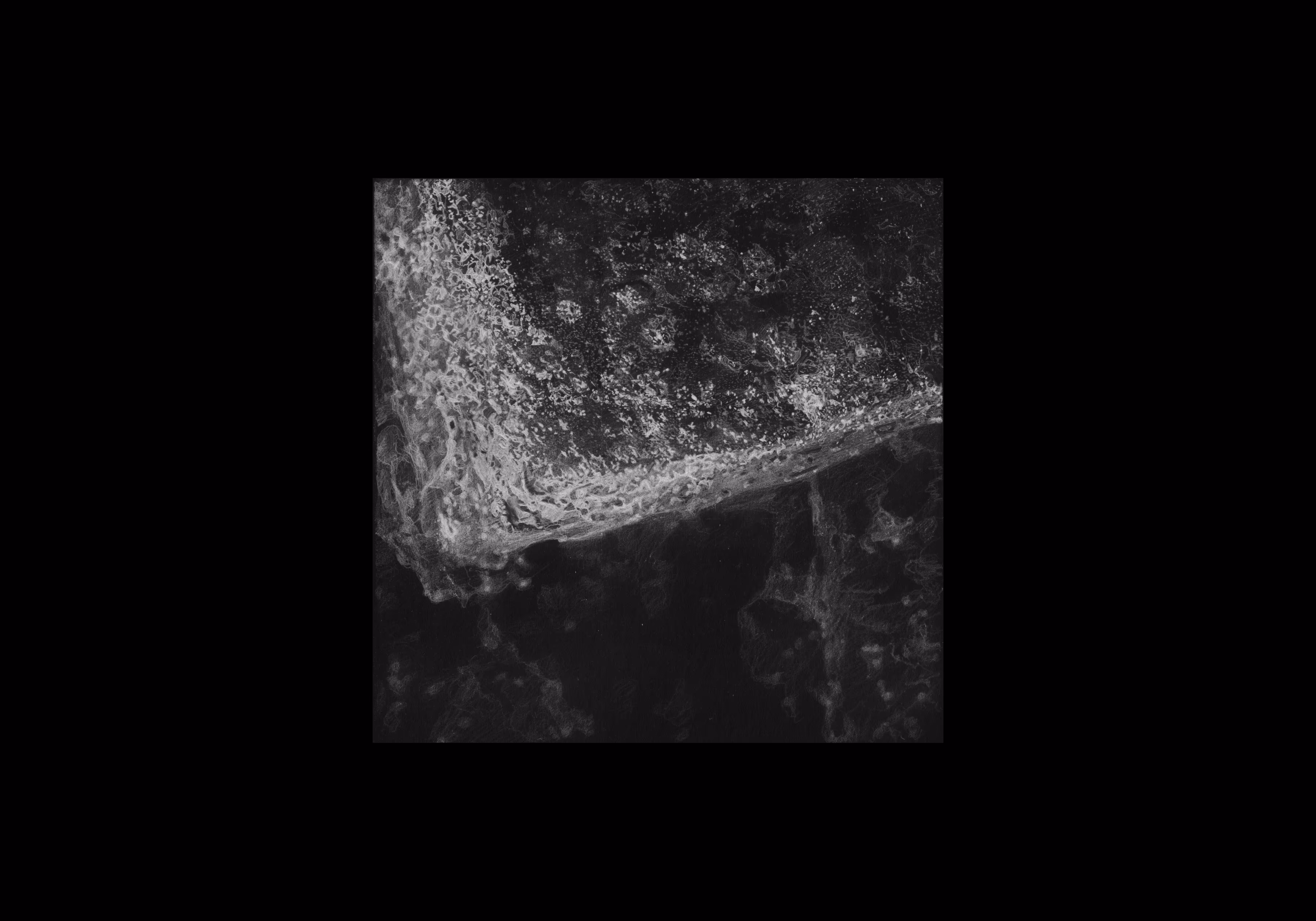 EXODIRT - BLACK (2 of 2