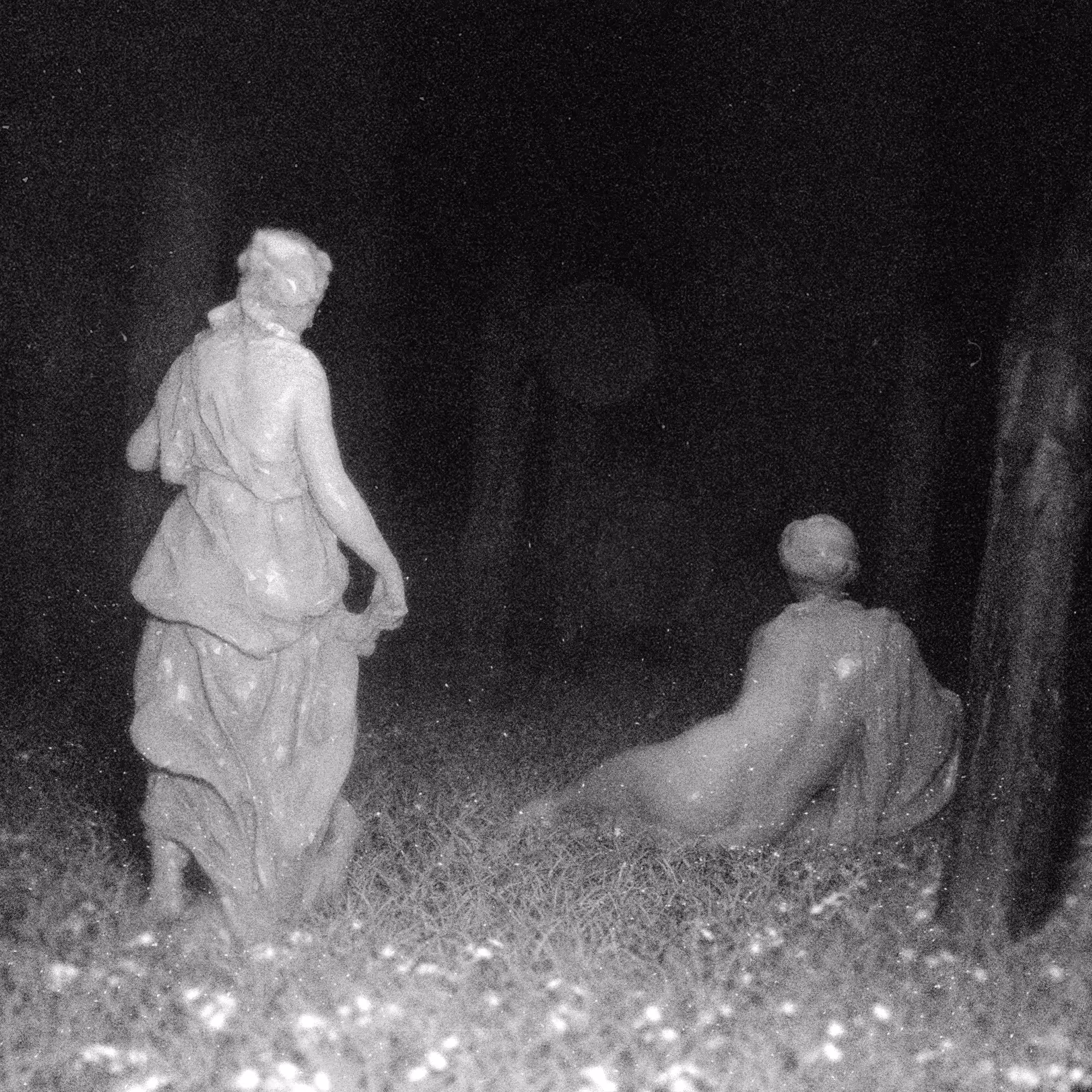 Voyeur #3