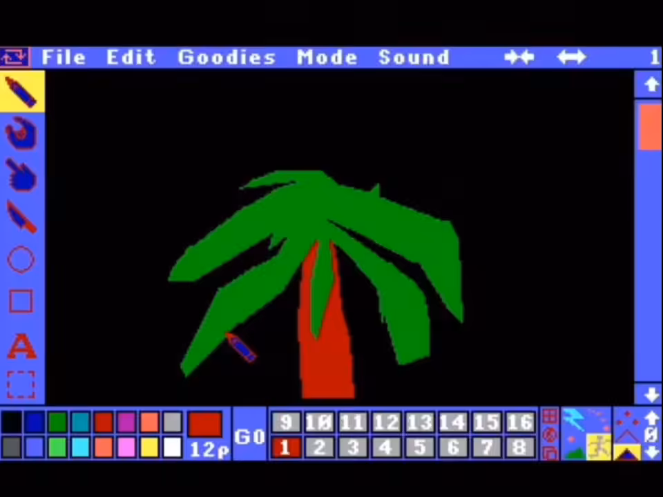 palm