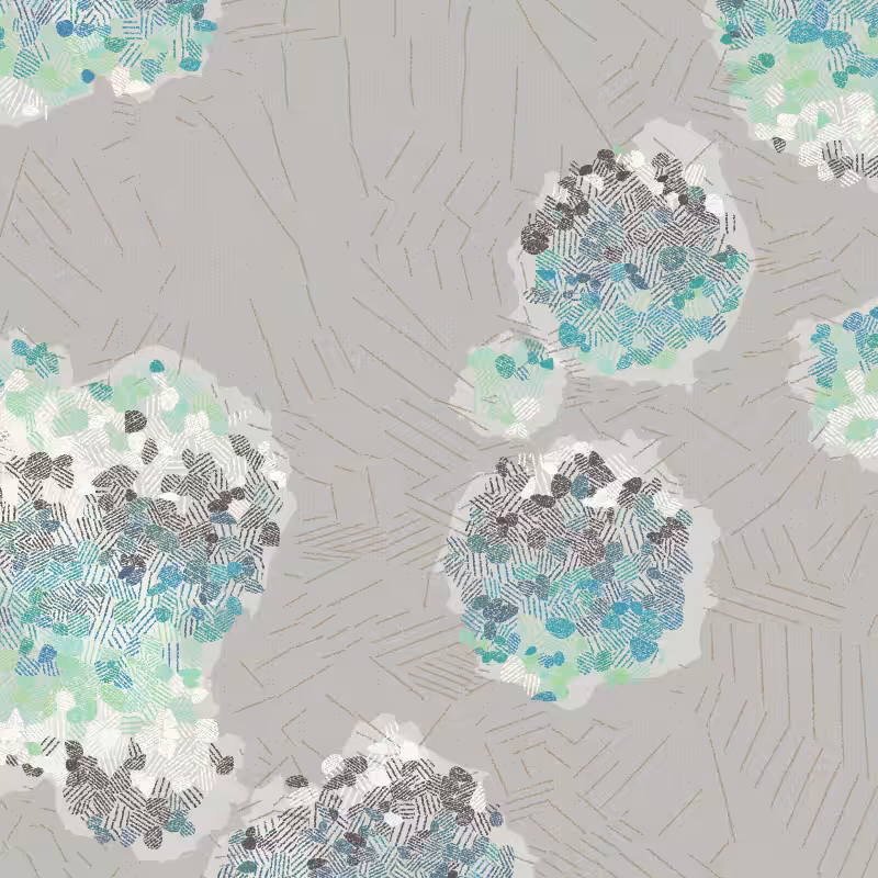 Fractured Cells #232