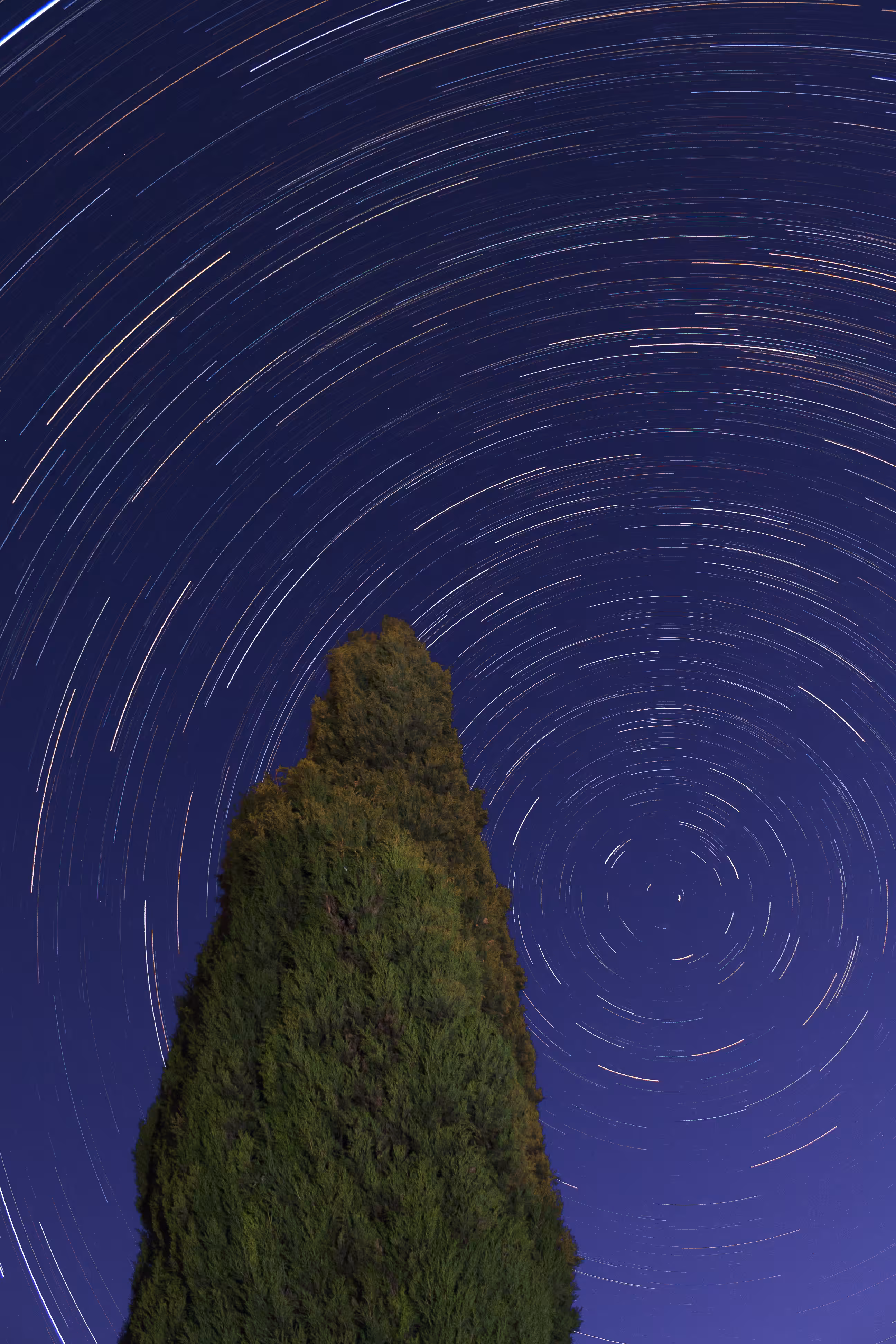 Circumpolaire
