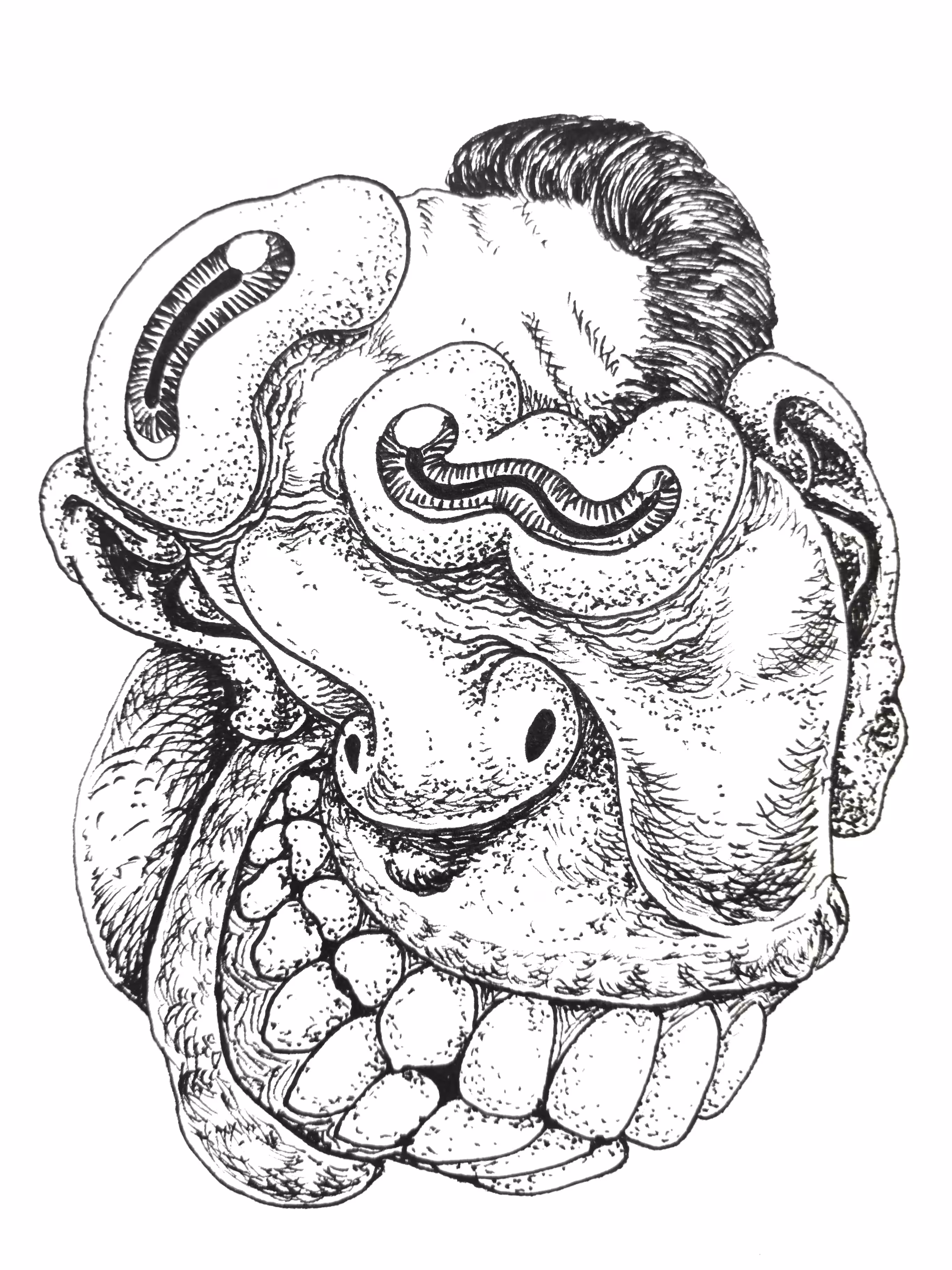 Head Drawing 001