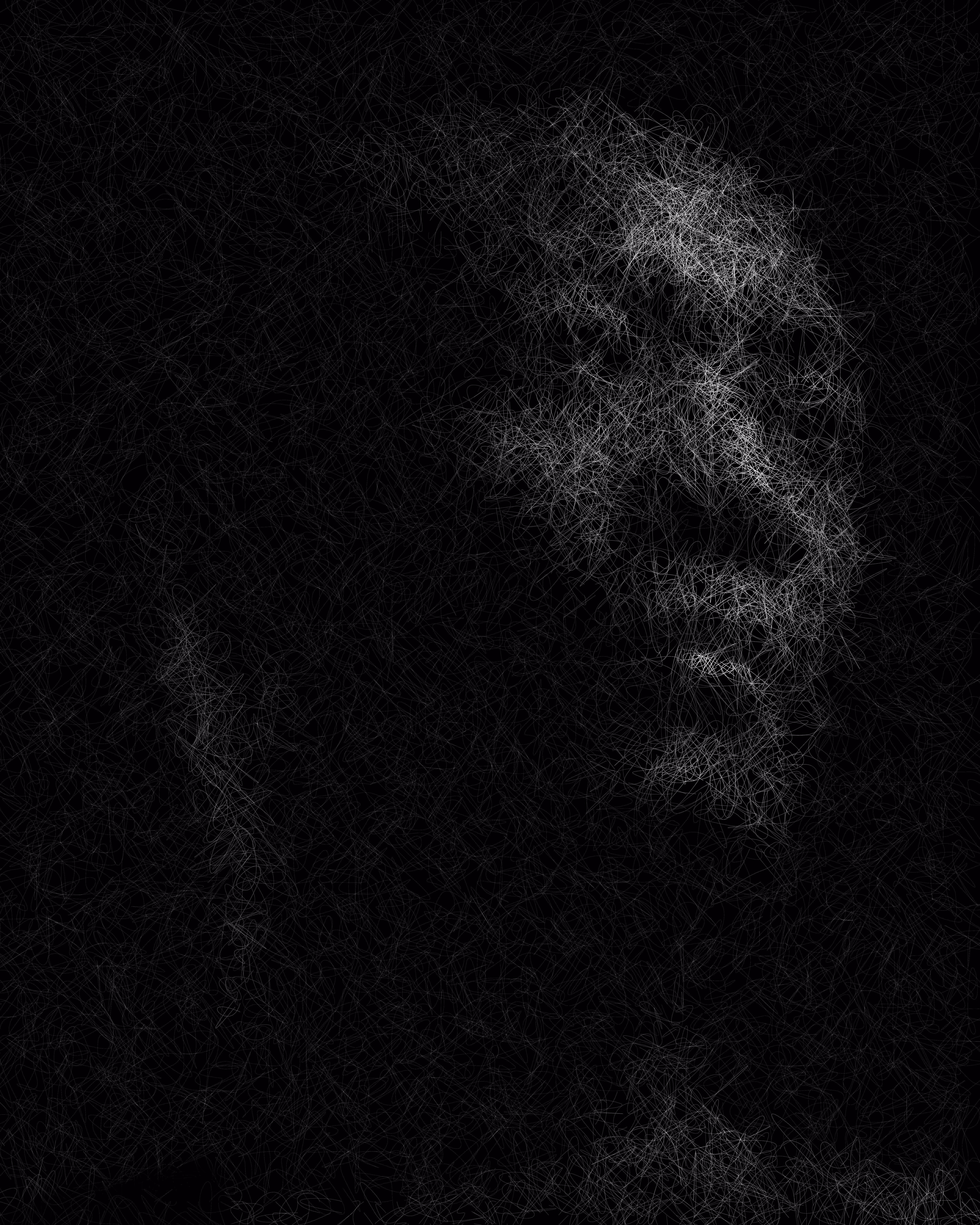 Algorithmic Portrait #002