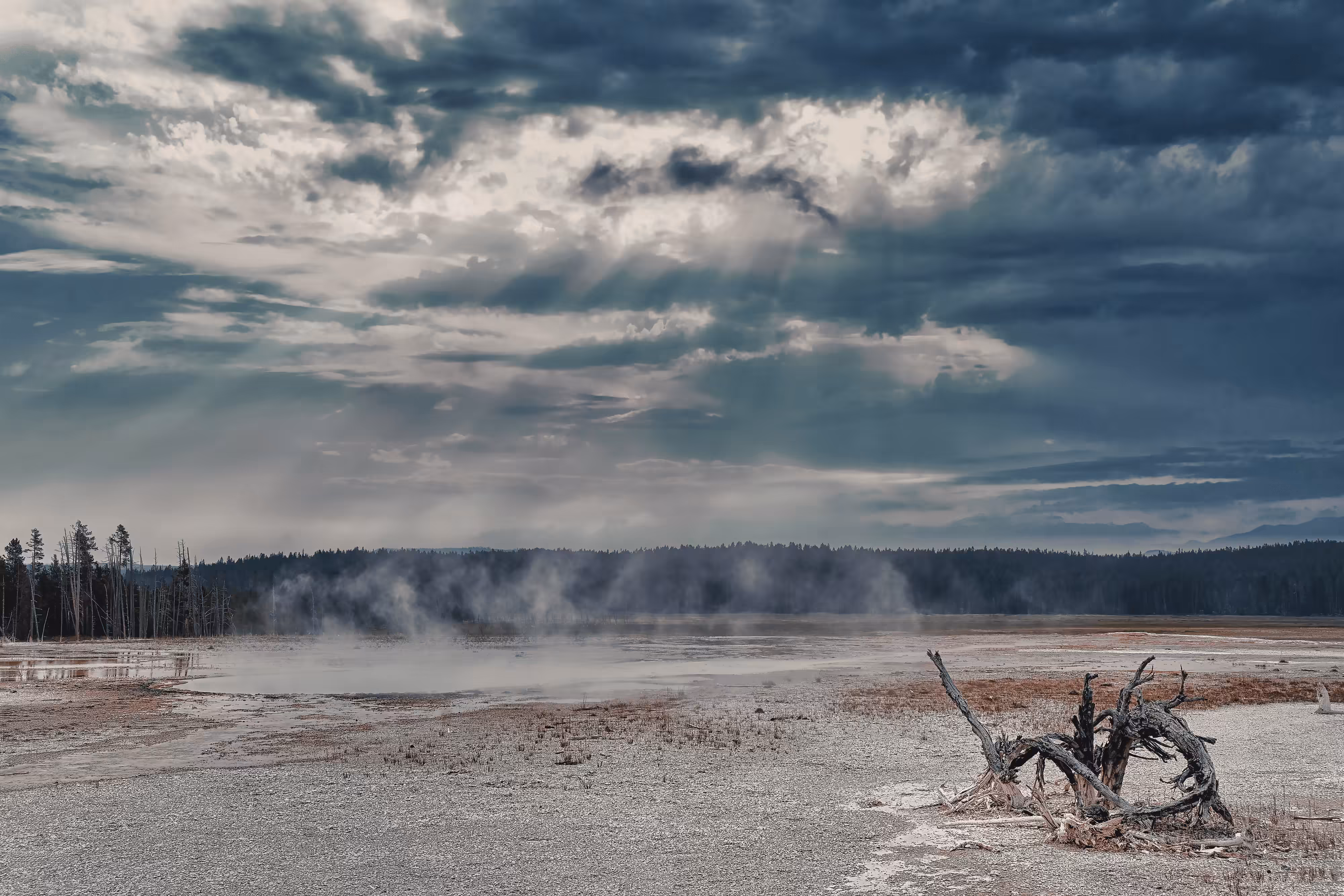 Yellowstone #12 - Norris Geyser Basin Steaming