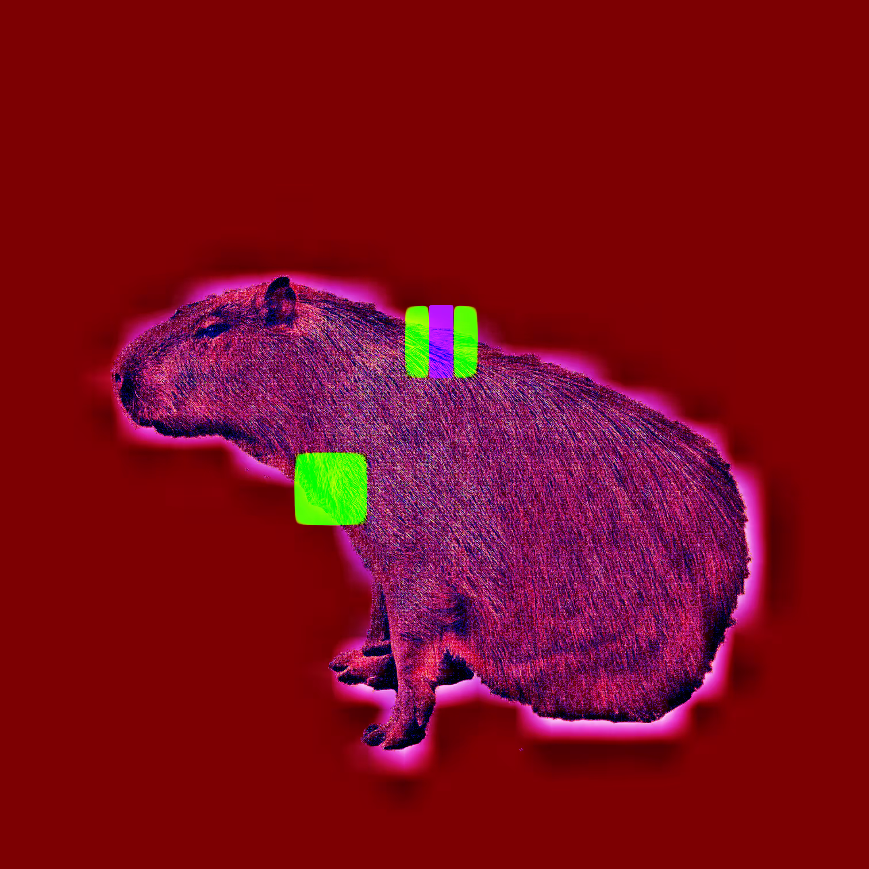 The Capybaras of Ipaussu [ Descolada // Saturated, 08A ]