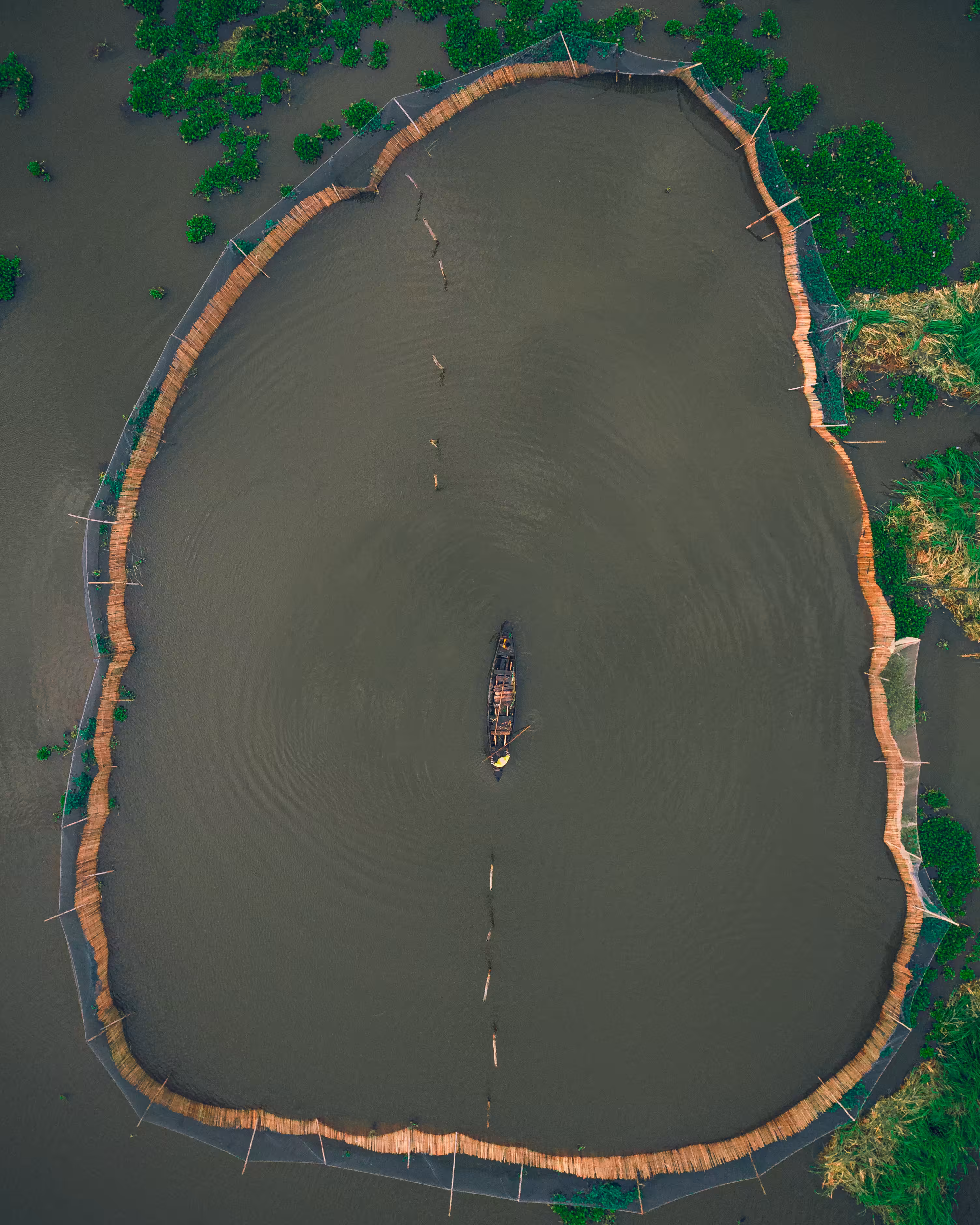 Floating Cage