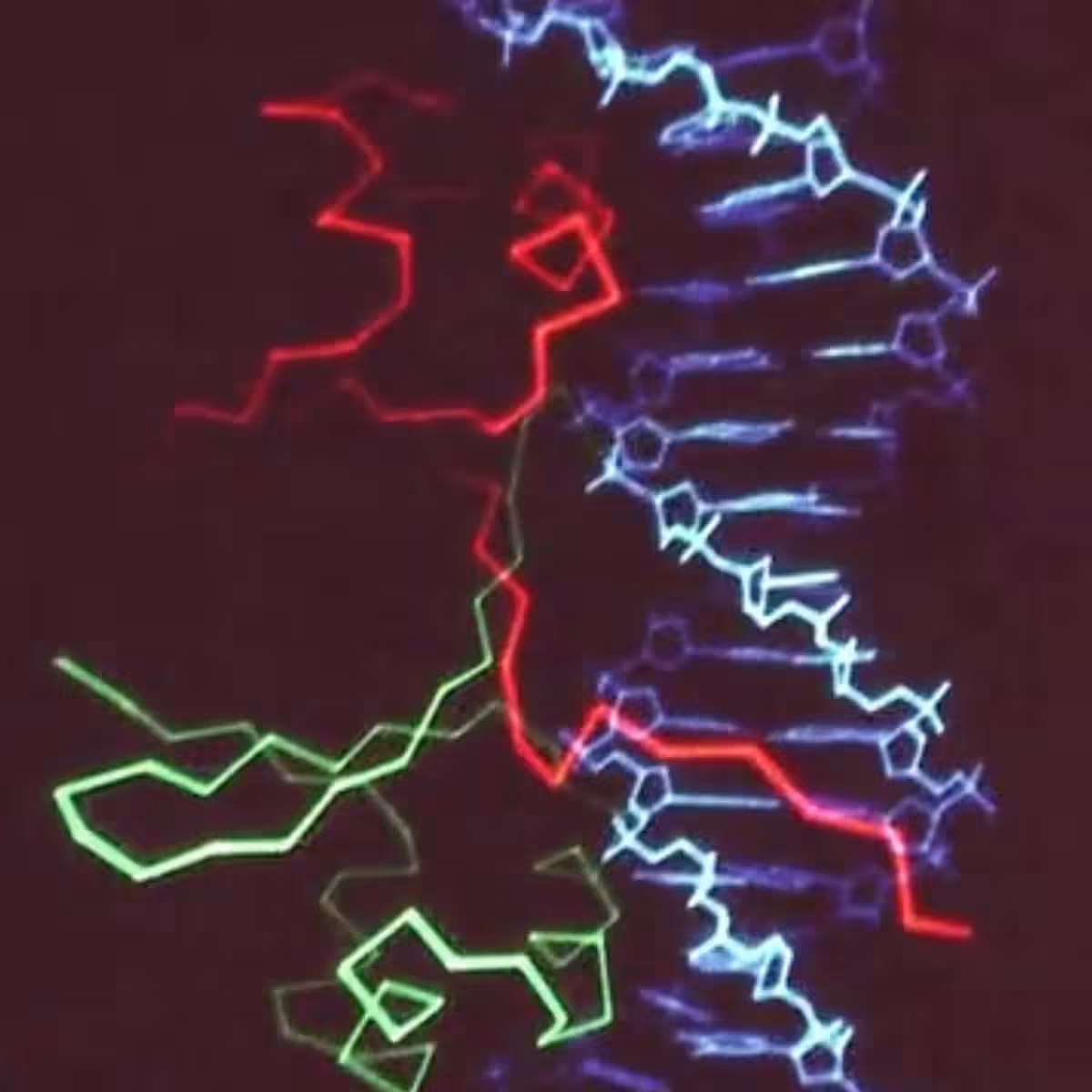 0:48'_wrm01 [Triggered]