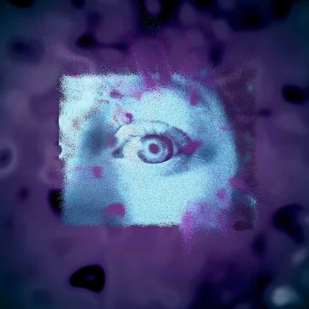 Searching For Vision Through Noisy Maps.001