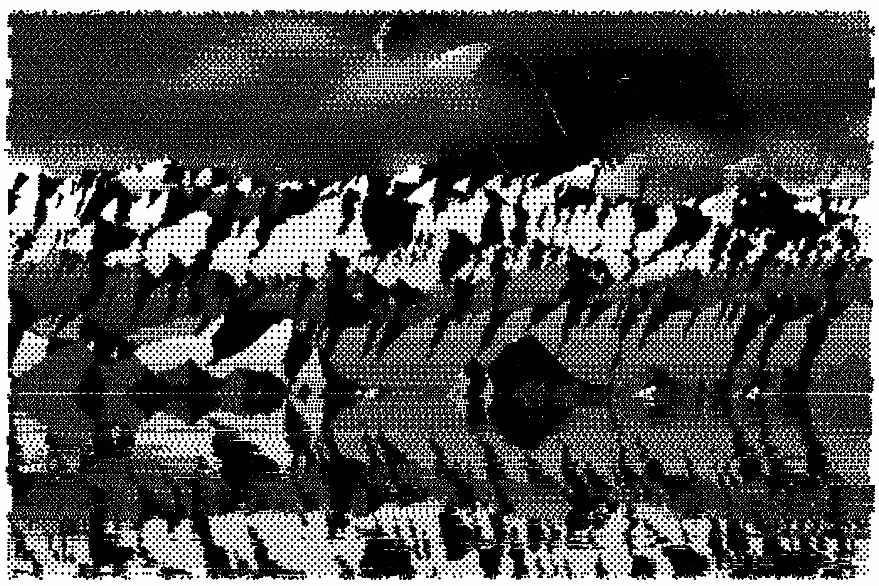 Gradient Ascent #254