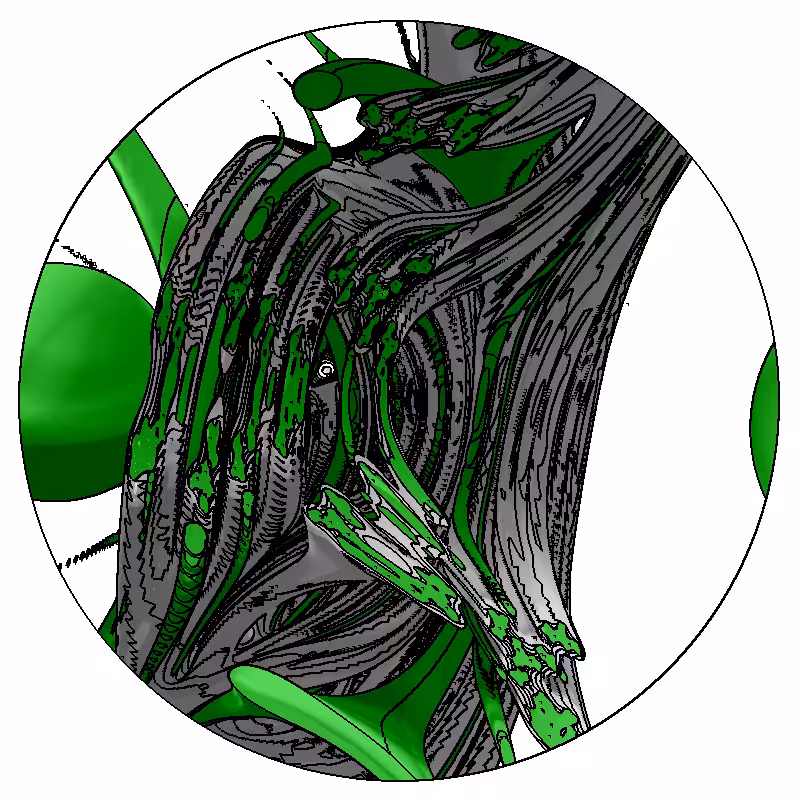 LL21 Anatomy #28