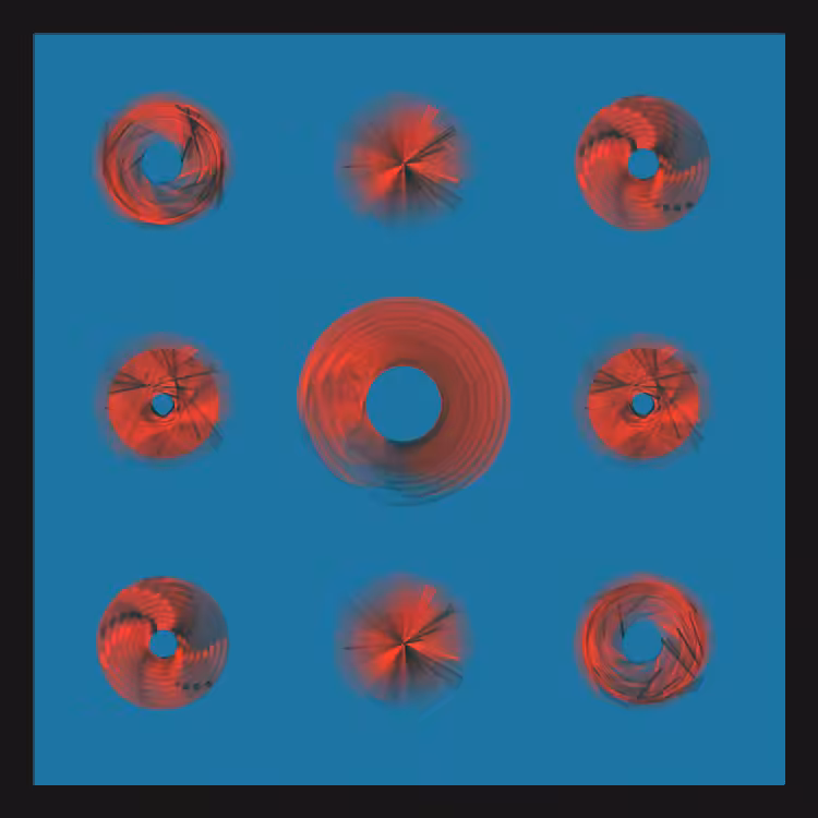 Spiny Spinners #28