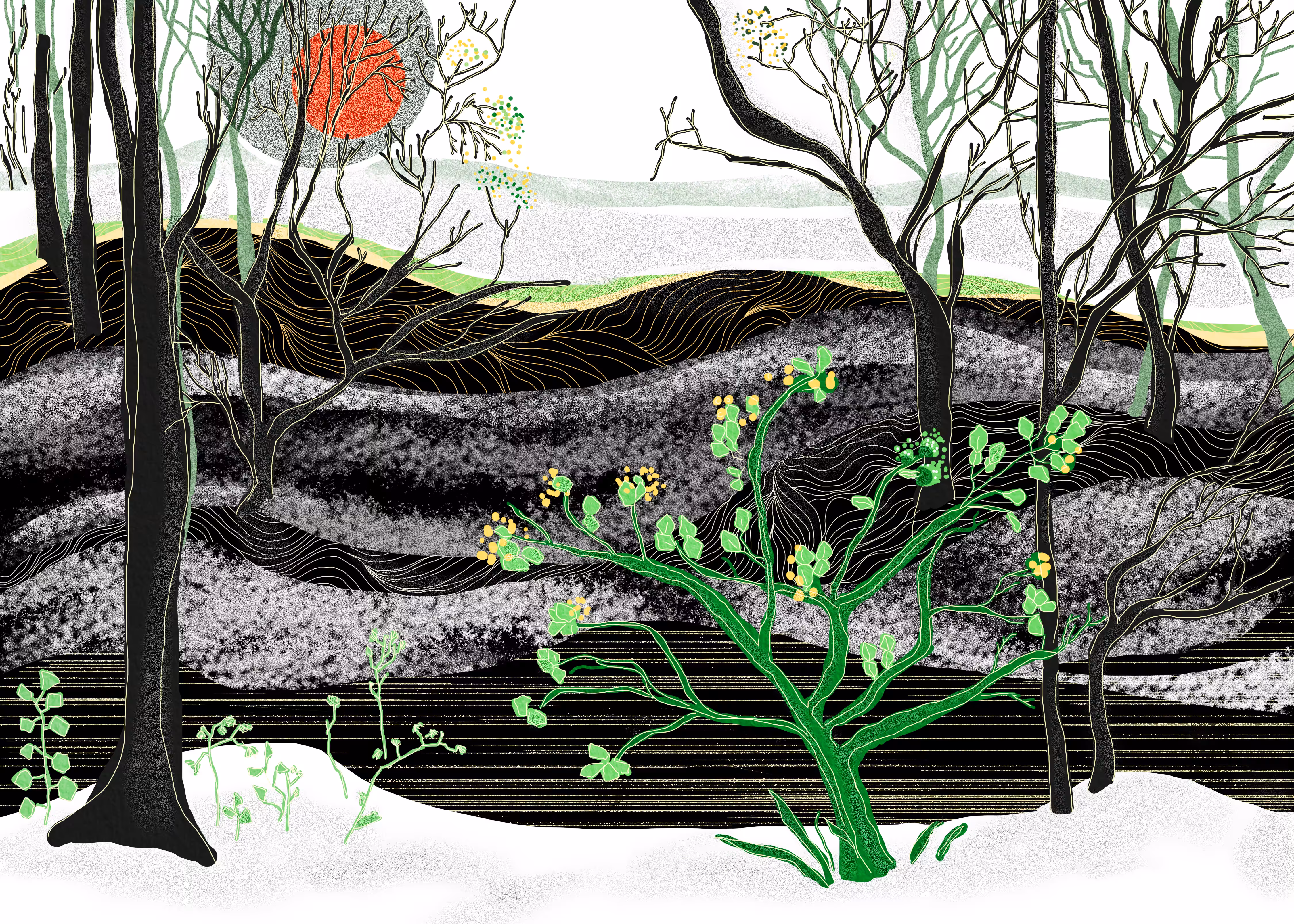 Similar garden II