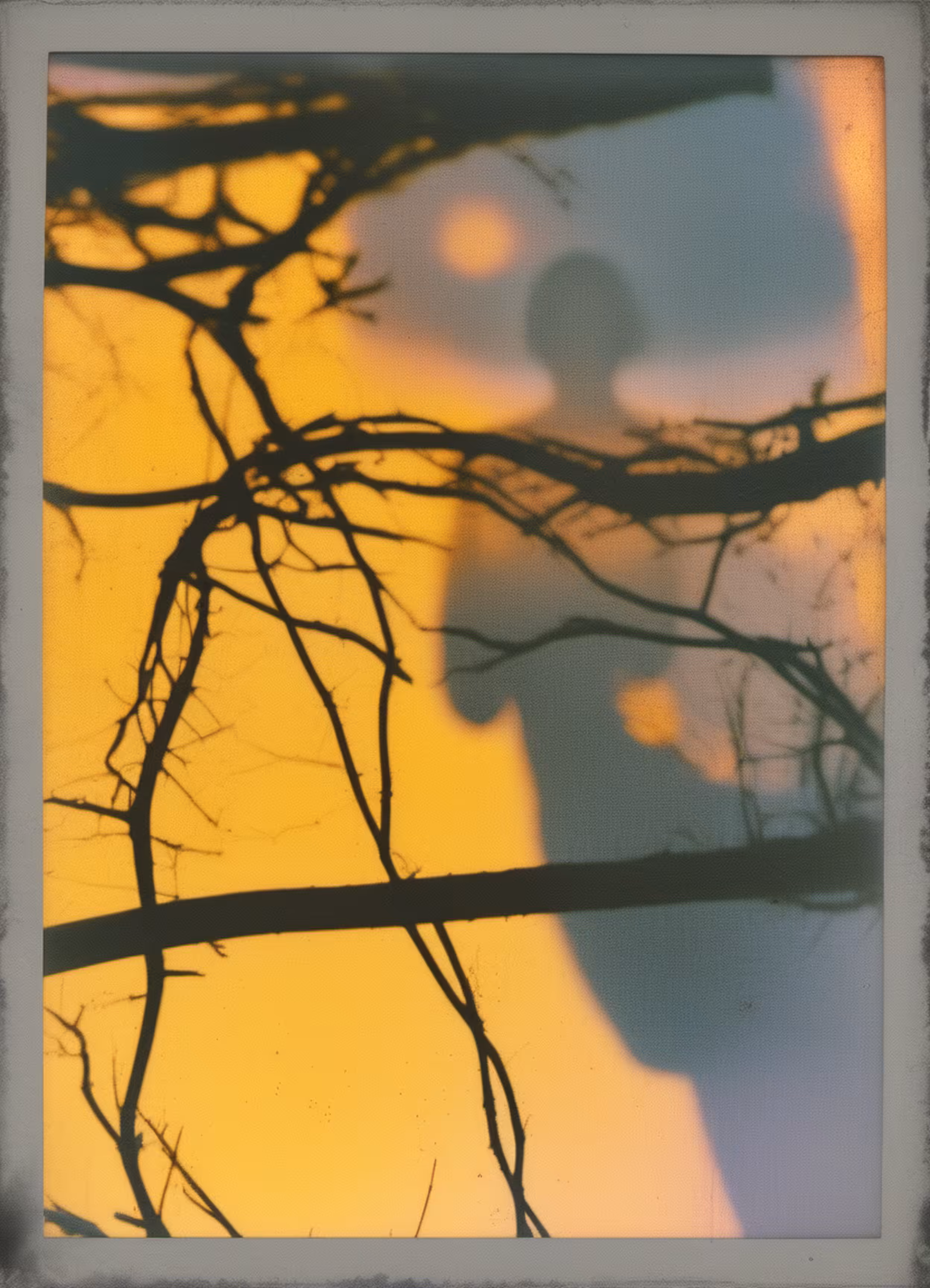 Summer Distortions #51