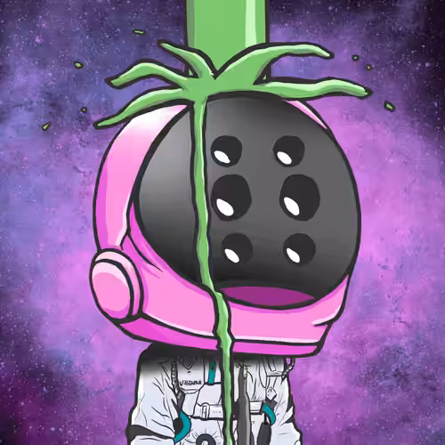 VibeNauts #2918