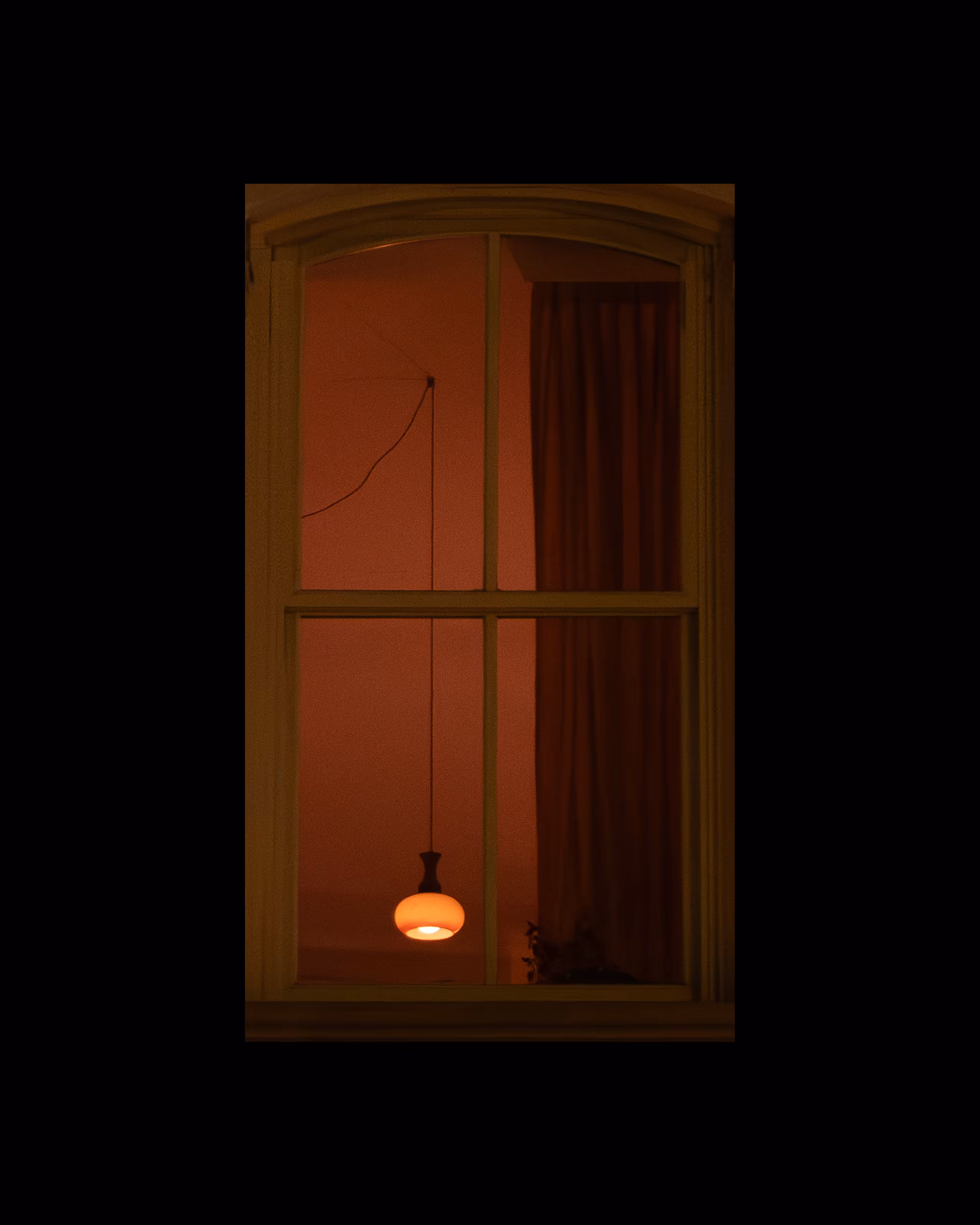 WINDOW 954