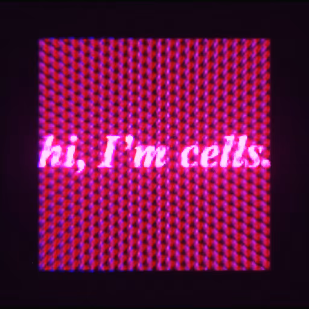 Hi, I'm cells