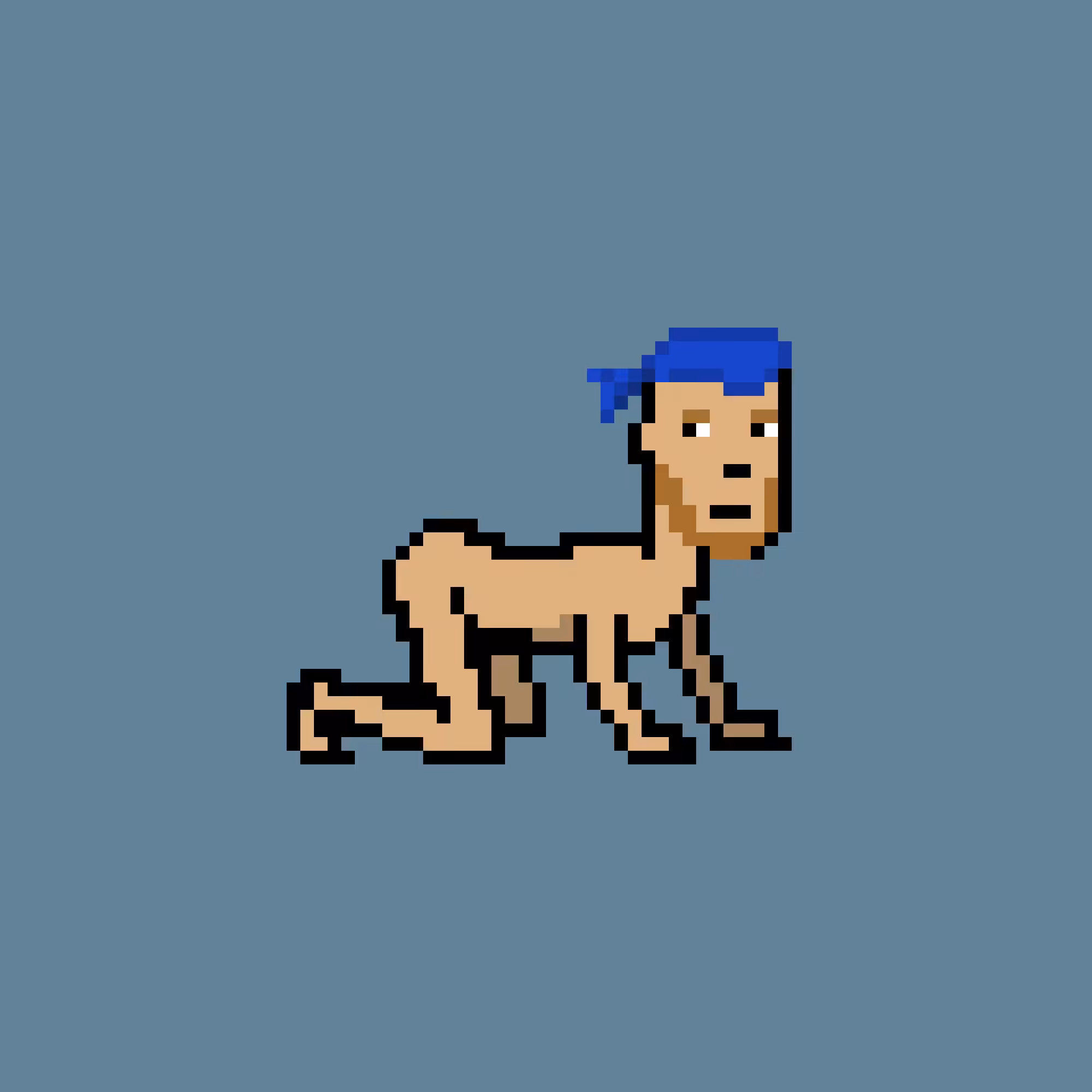 CrawlingPunk #2070