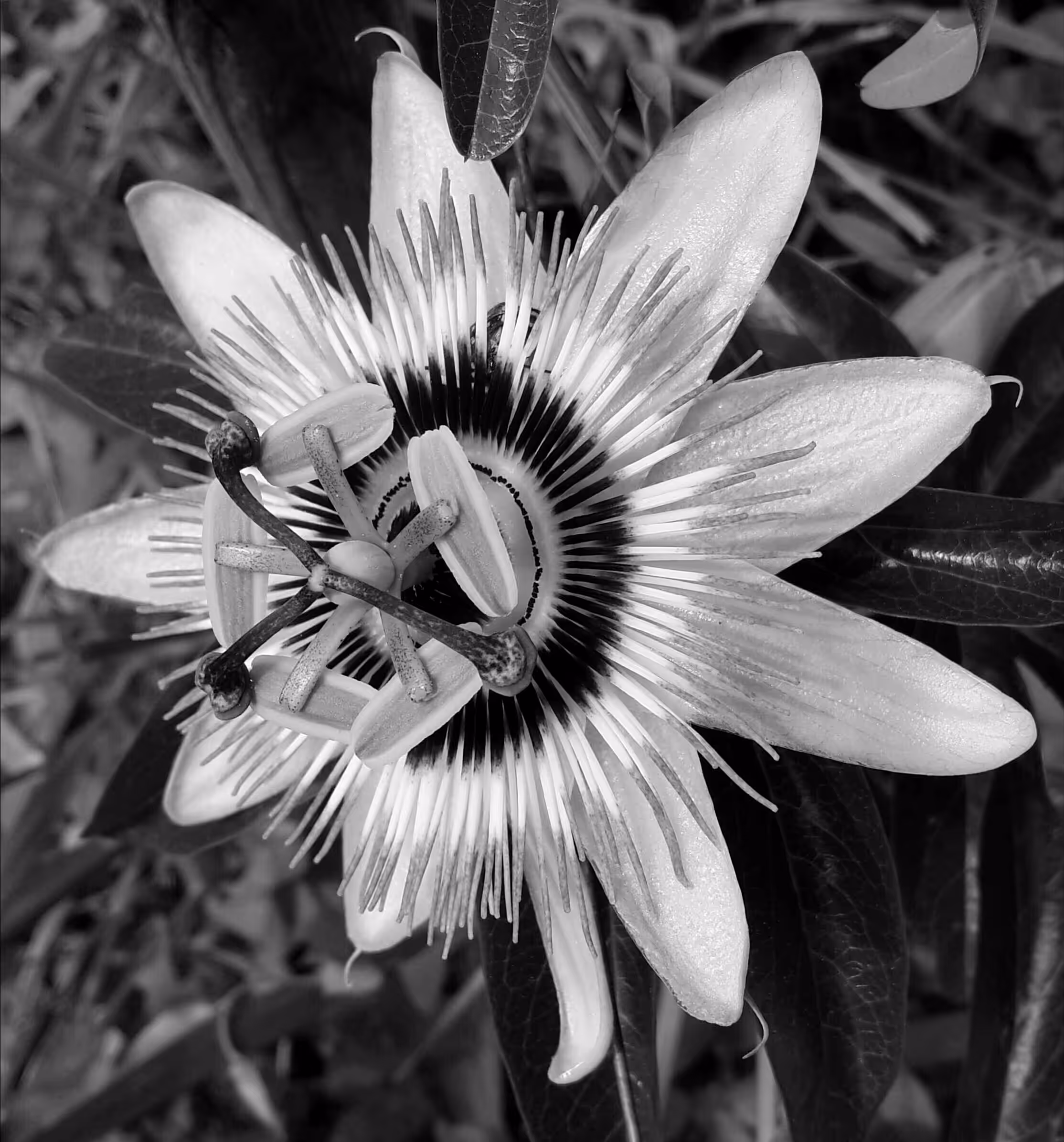 Complexity
