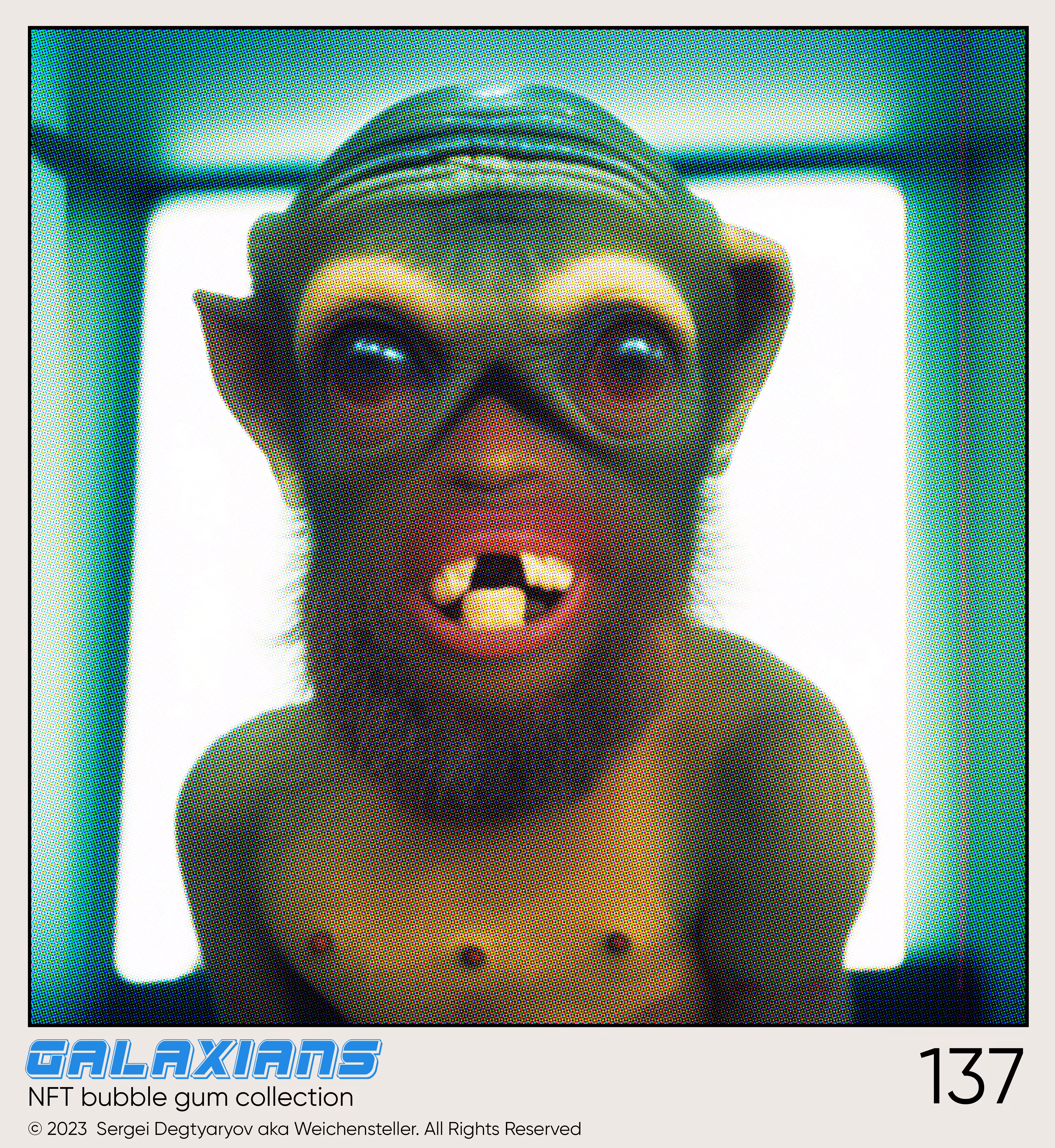 Galaxian #137