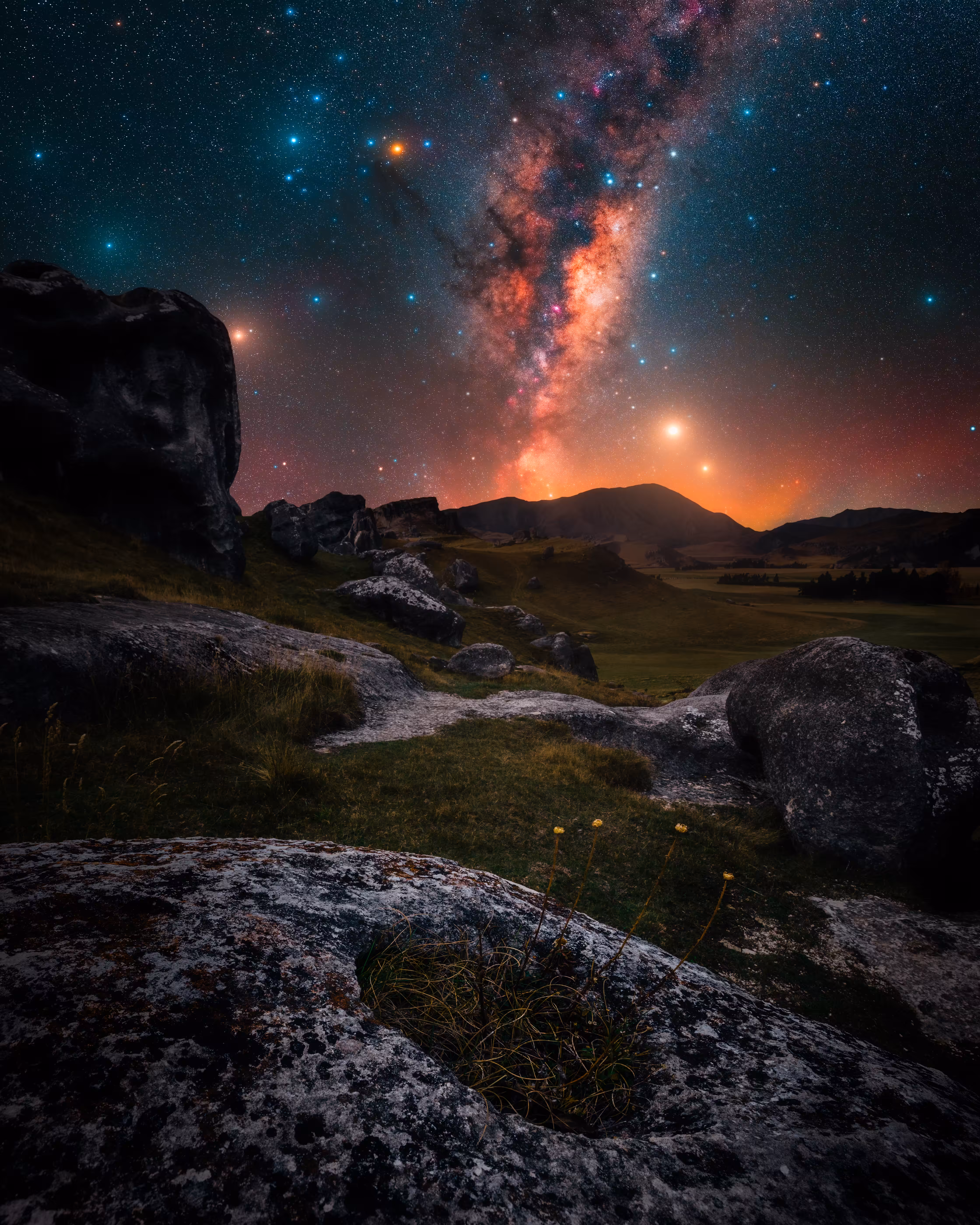 Lucid