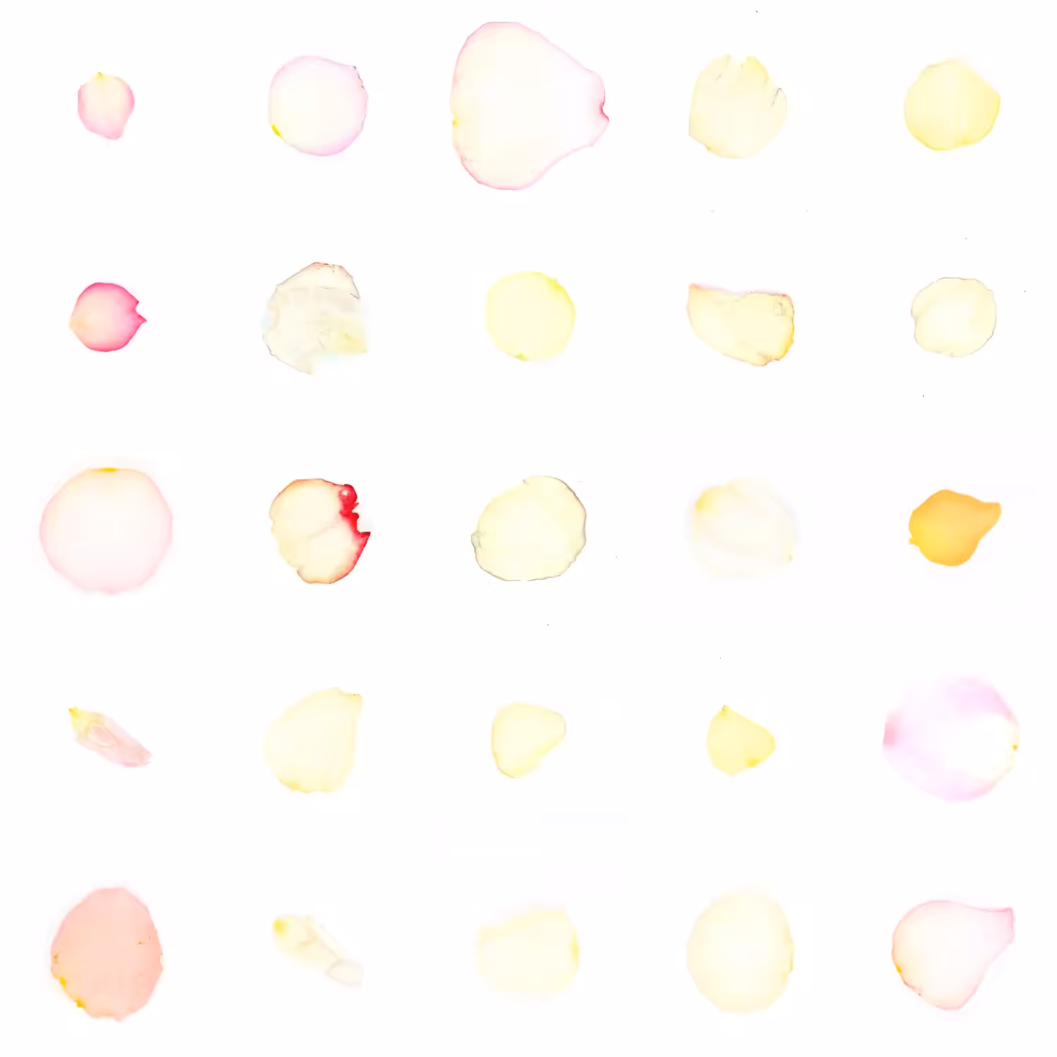 Infinite Petals 5x5#881