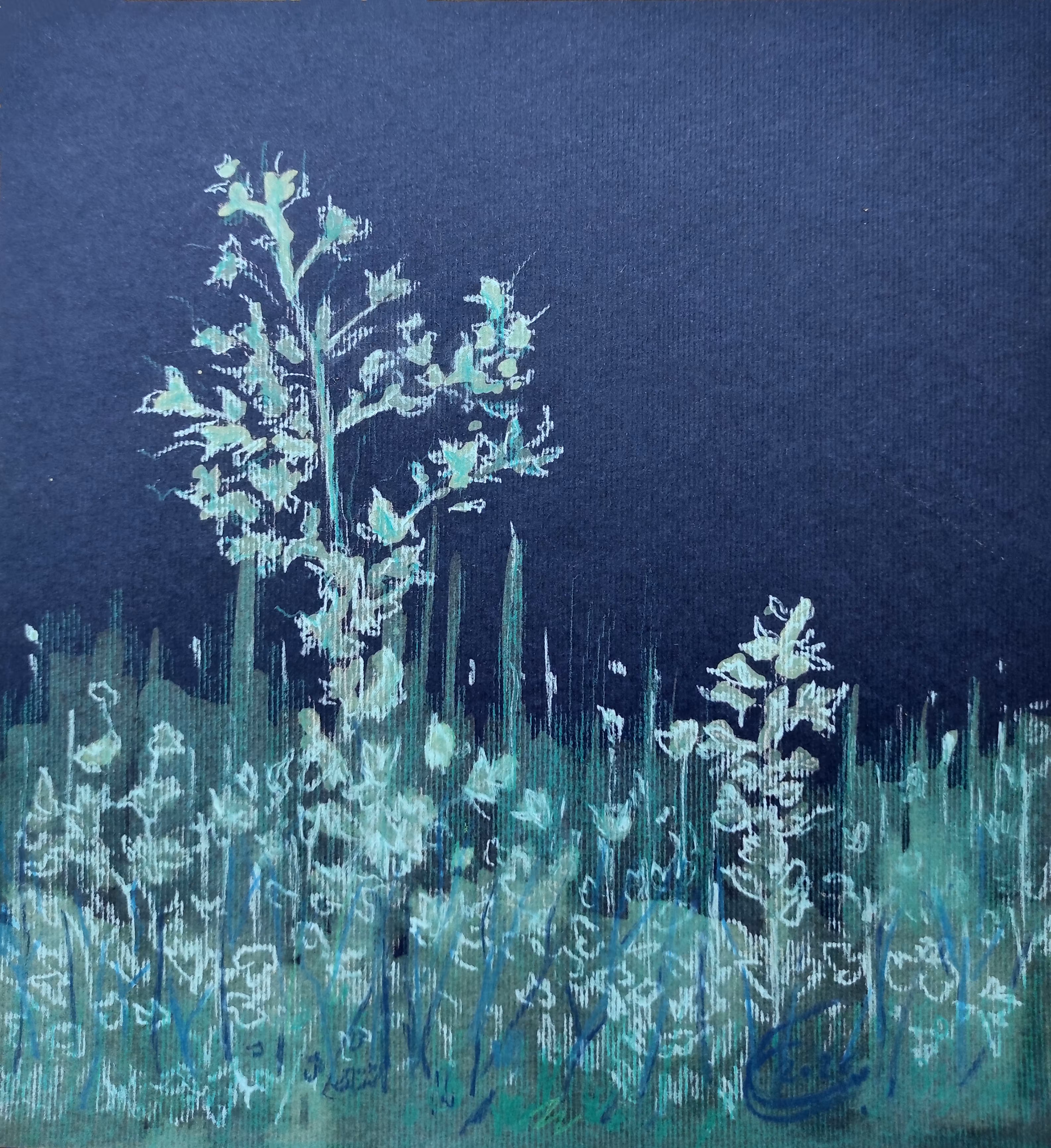 ROOTED: Turquoise Roots